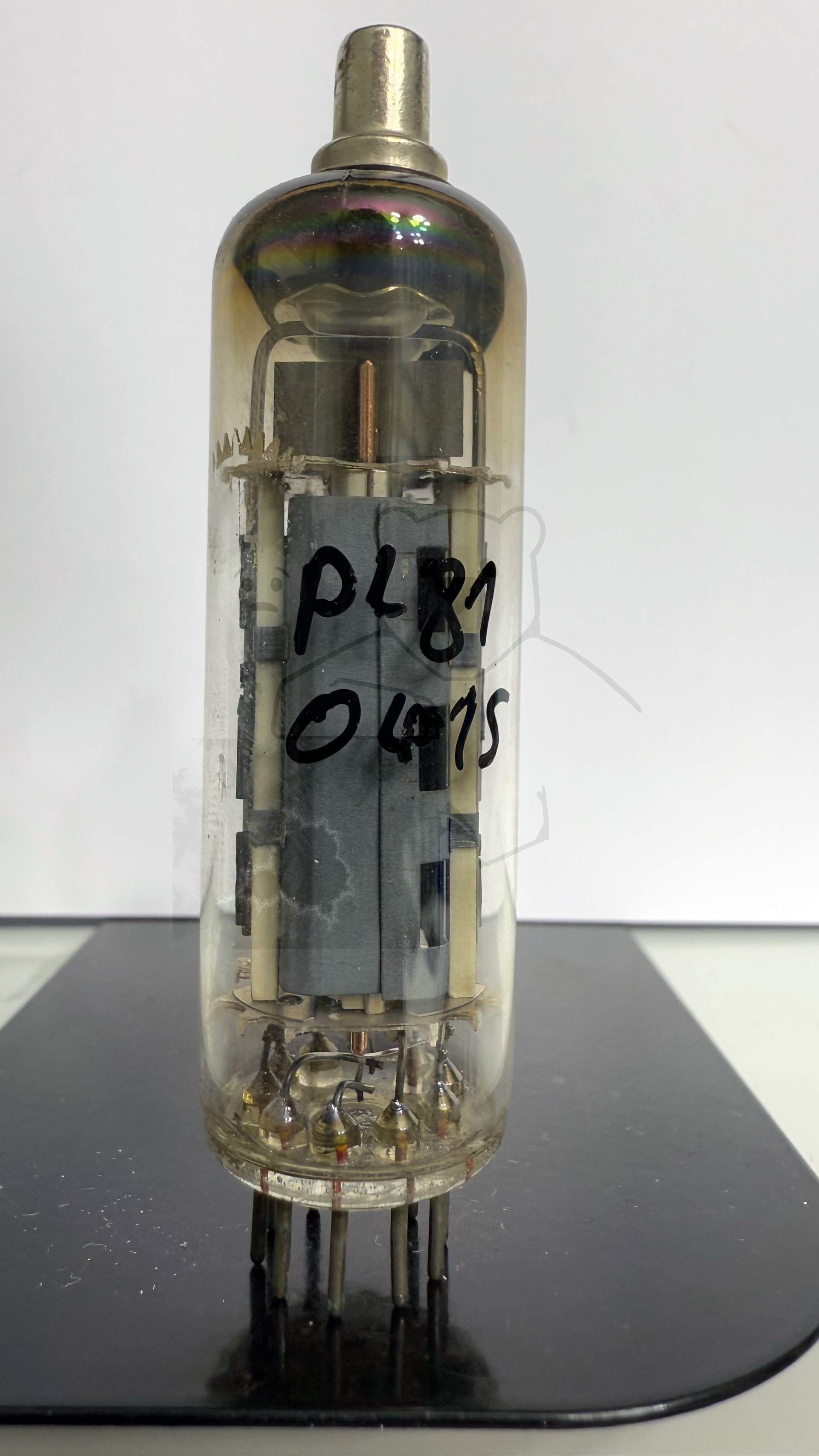 Röhre PL81 #0415 Bild 1