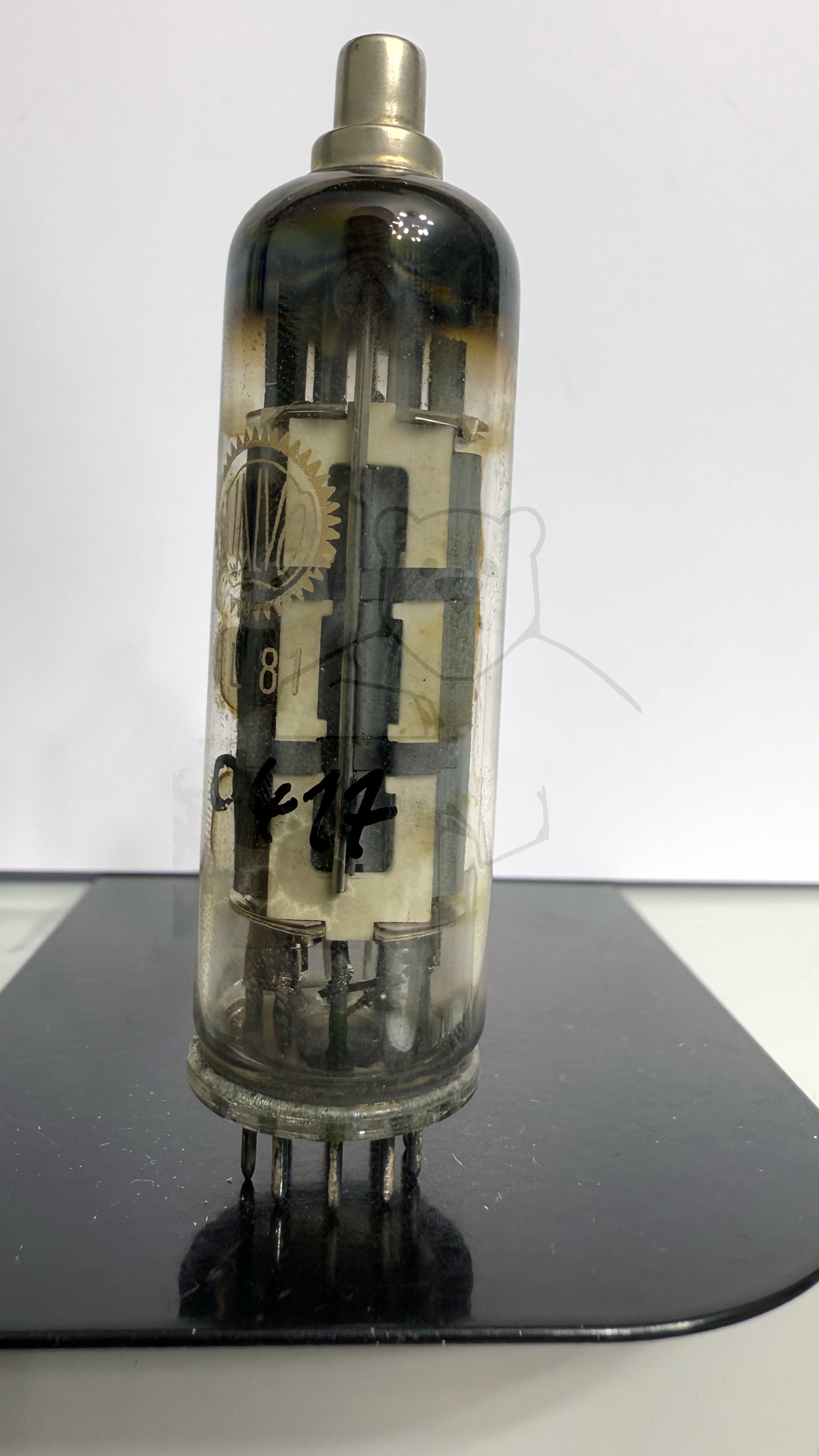 Röhre PL81 #0417 Bild 1