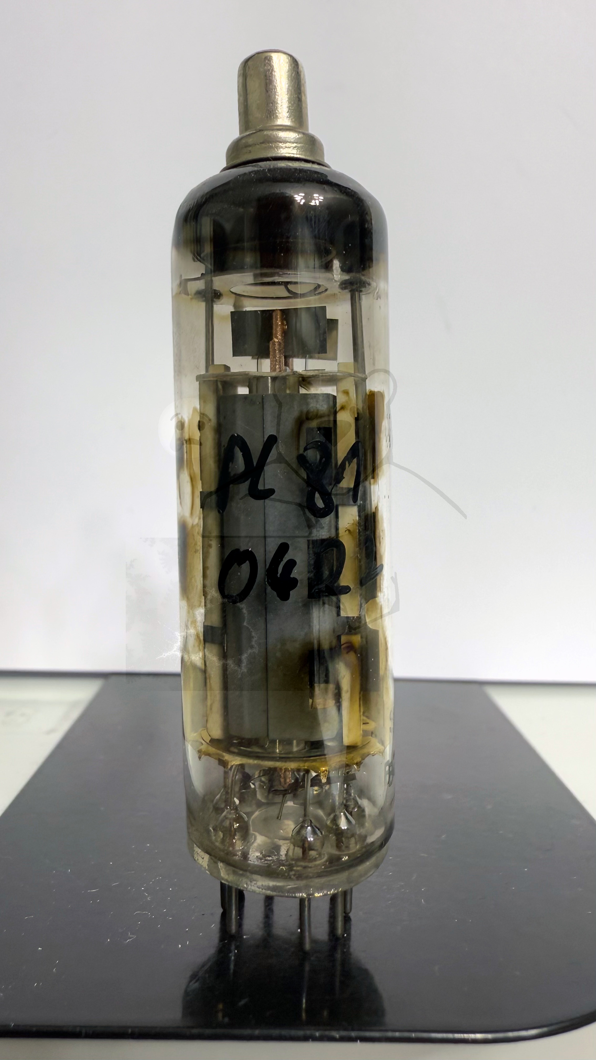 Röhre PL81 #0422 Bild 1