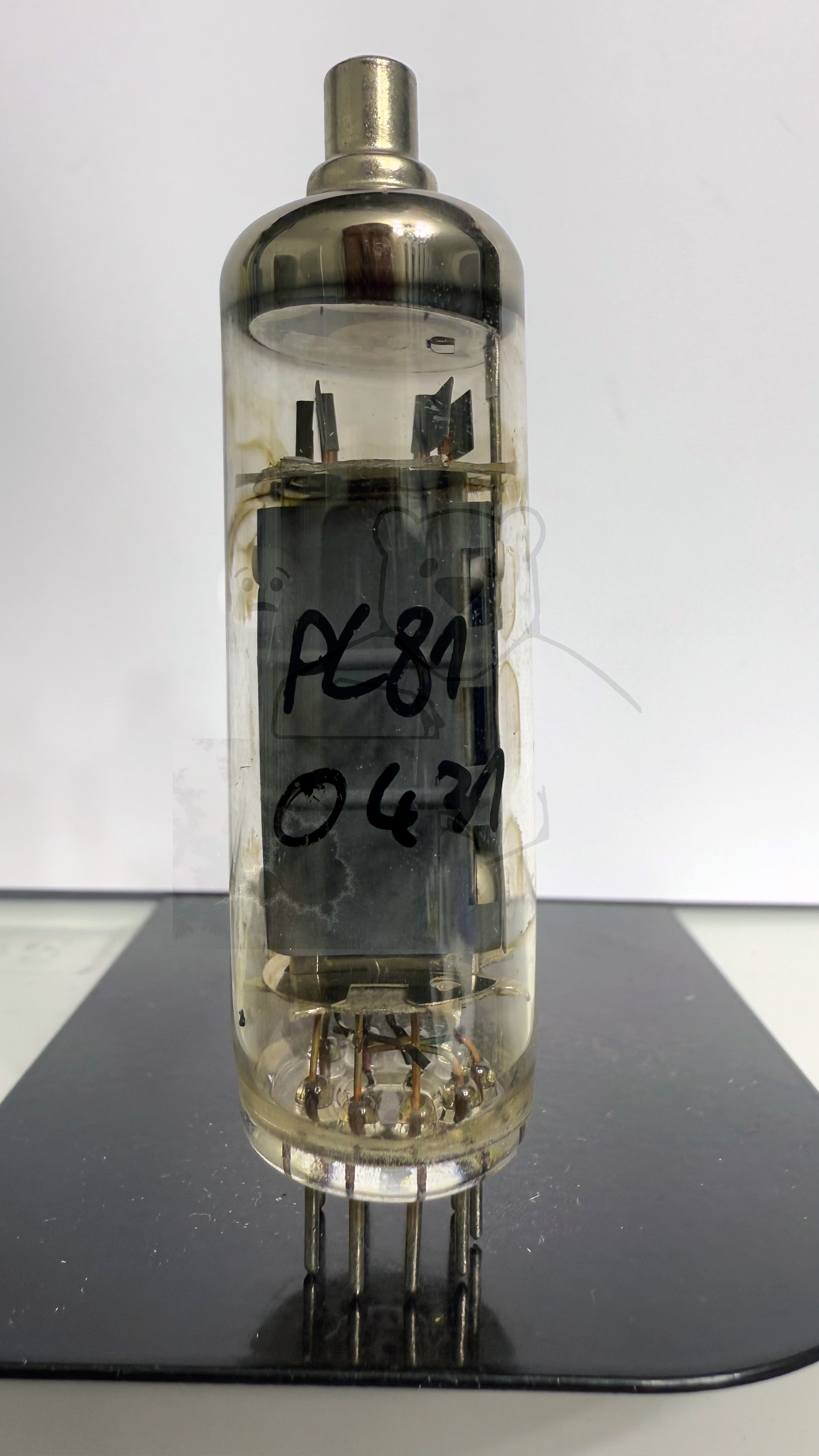 Röhre PL81 #0431 Bild 1