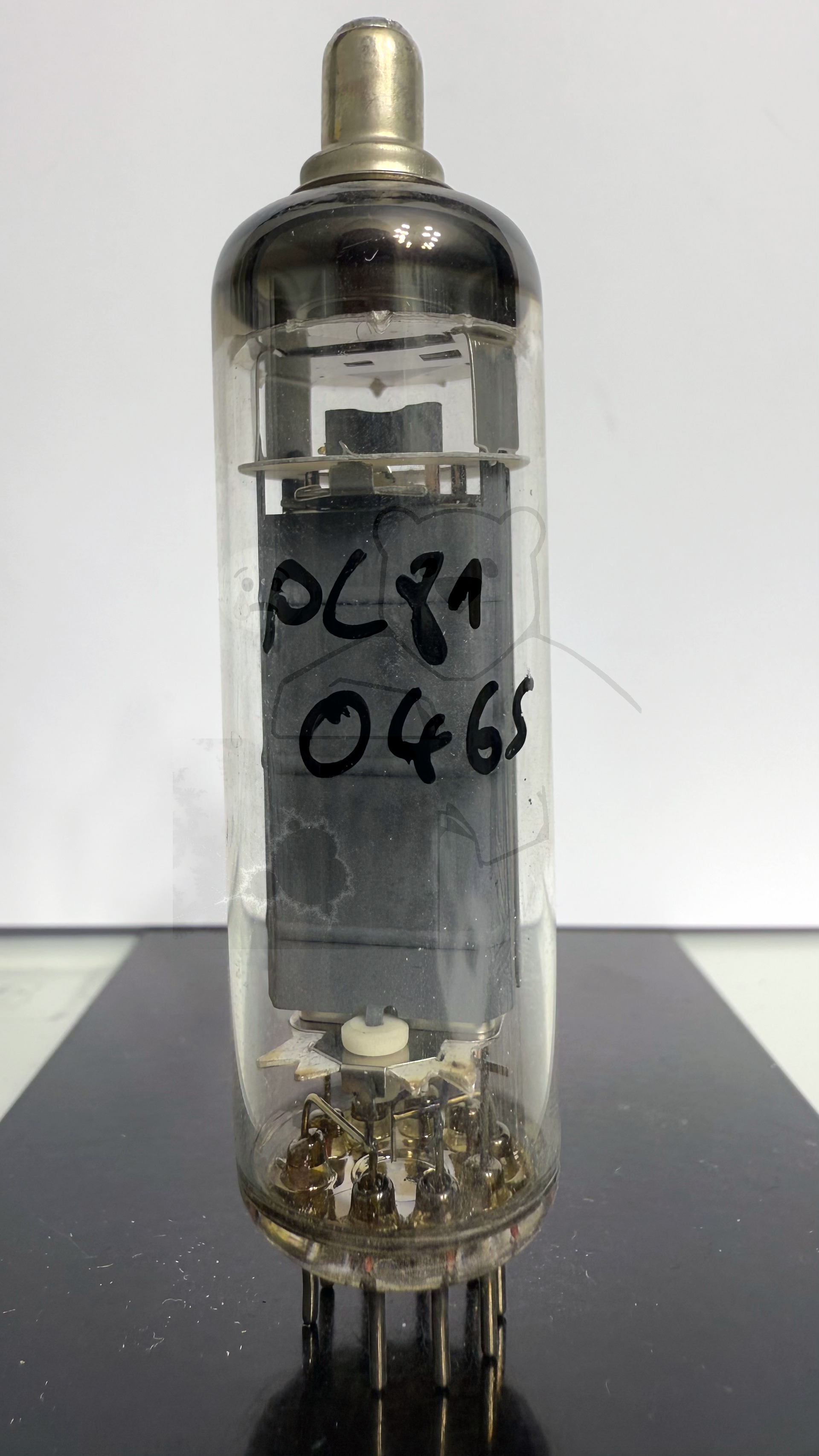 Röhre PL81 #0465 Bild 1