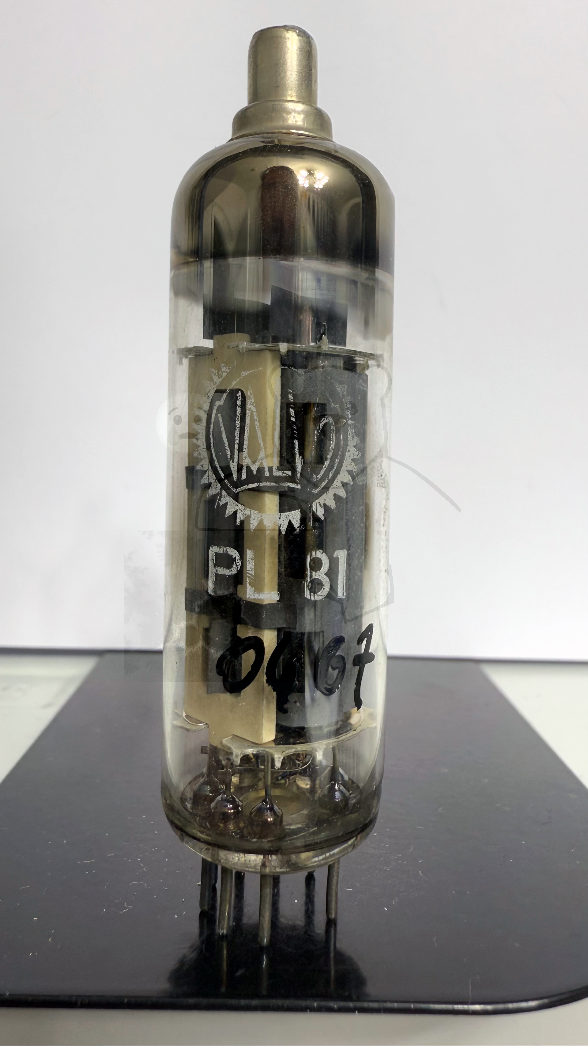 Röhre PL81 #0467 Bild 1