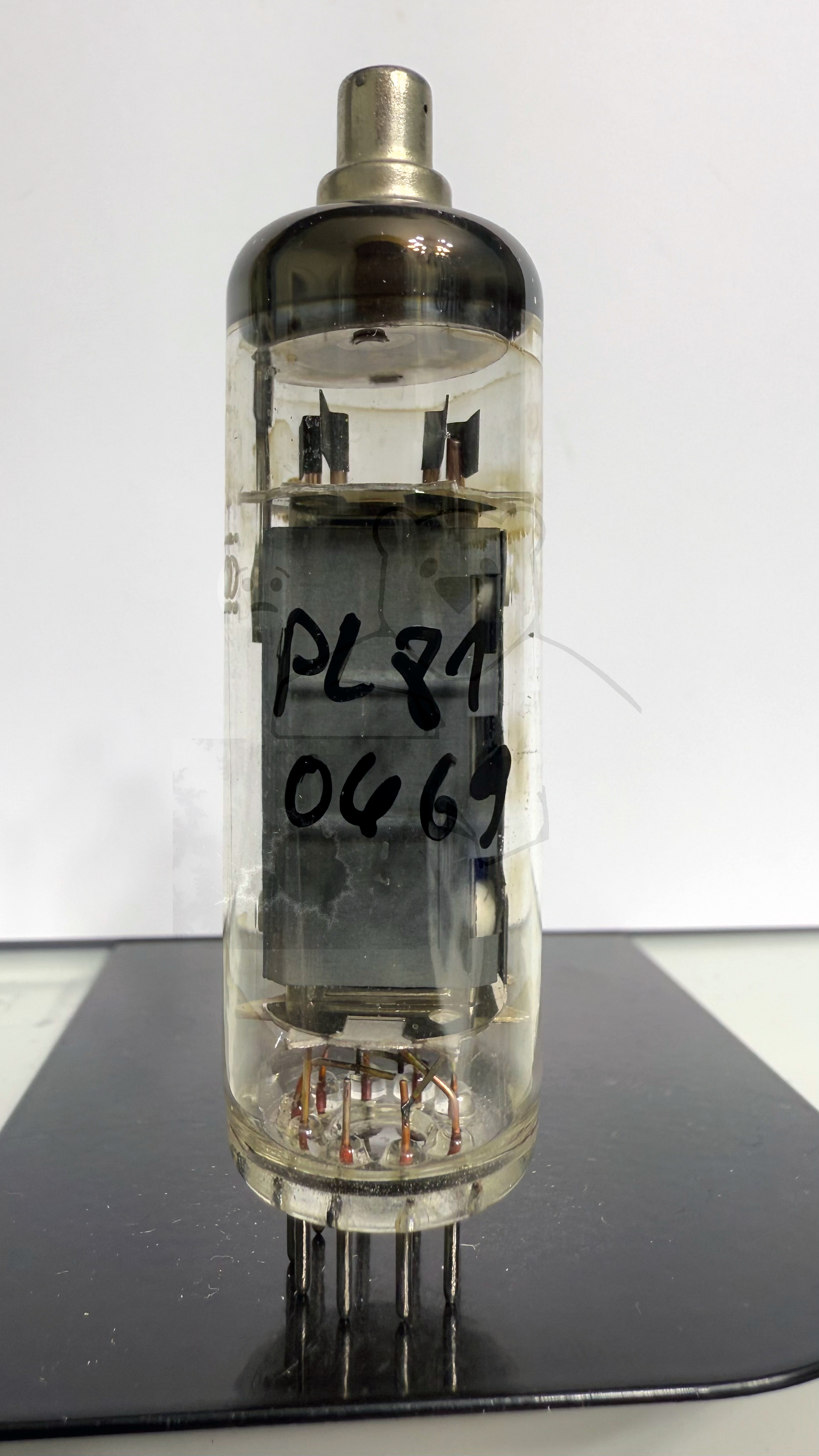 Röhre PL81 #0469 Bild 1