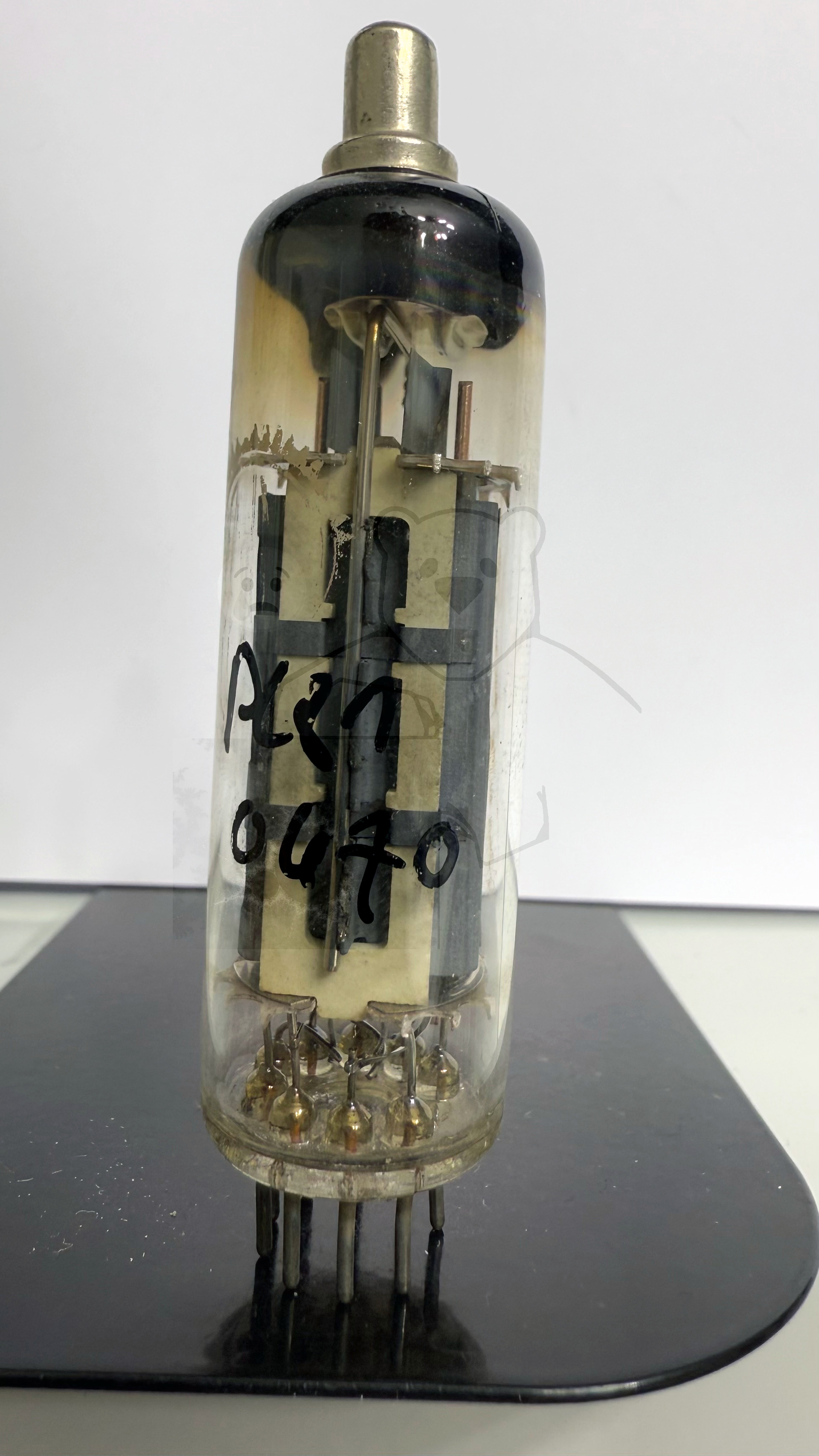 Röhre PL81 #0470 Bild 1