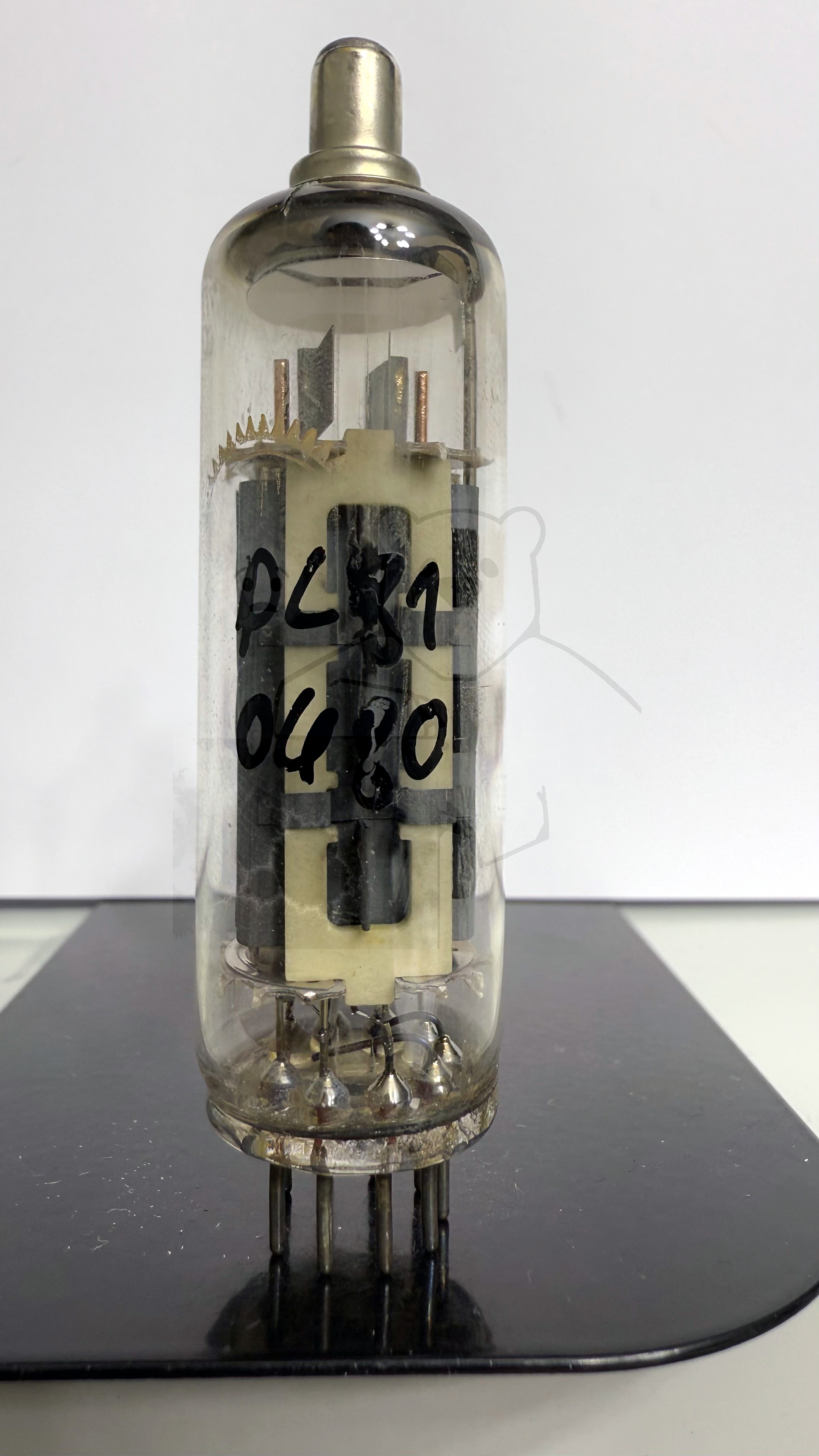 Röhre PL81 #0480 Bild 1