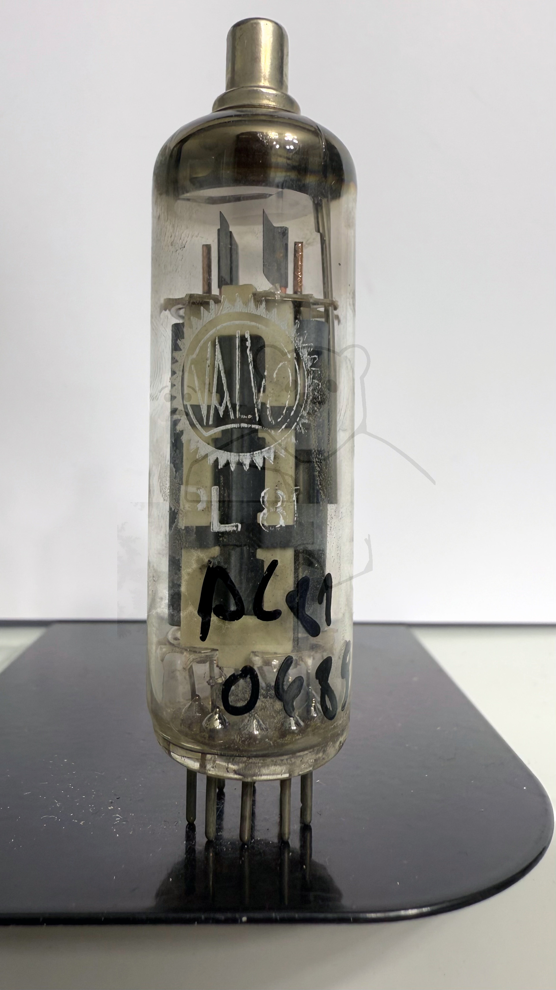 Röhre PL81 #0489 Bild 1