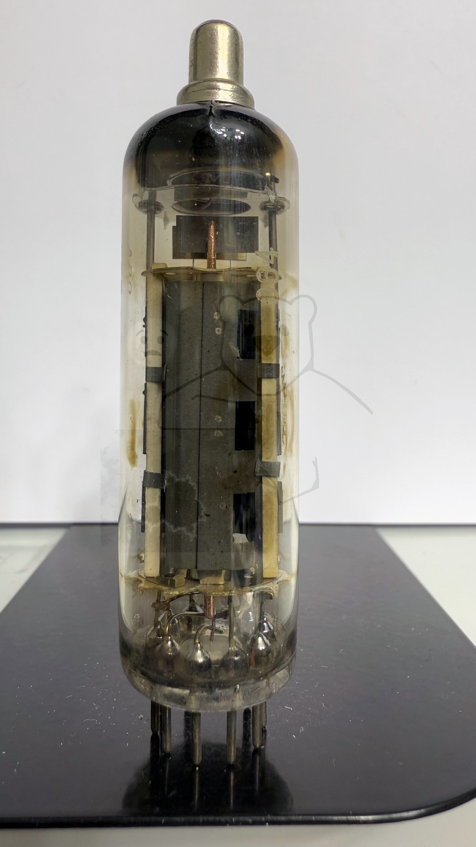 Röhre PL81 #4873 Bild 1