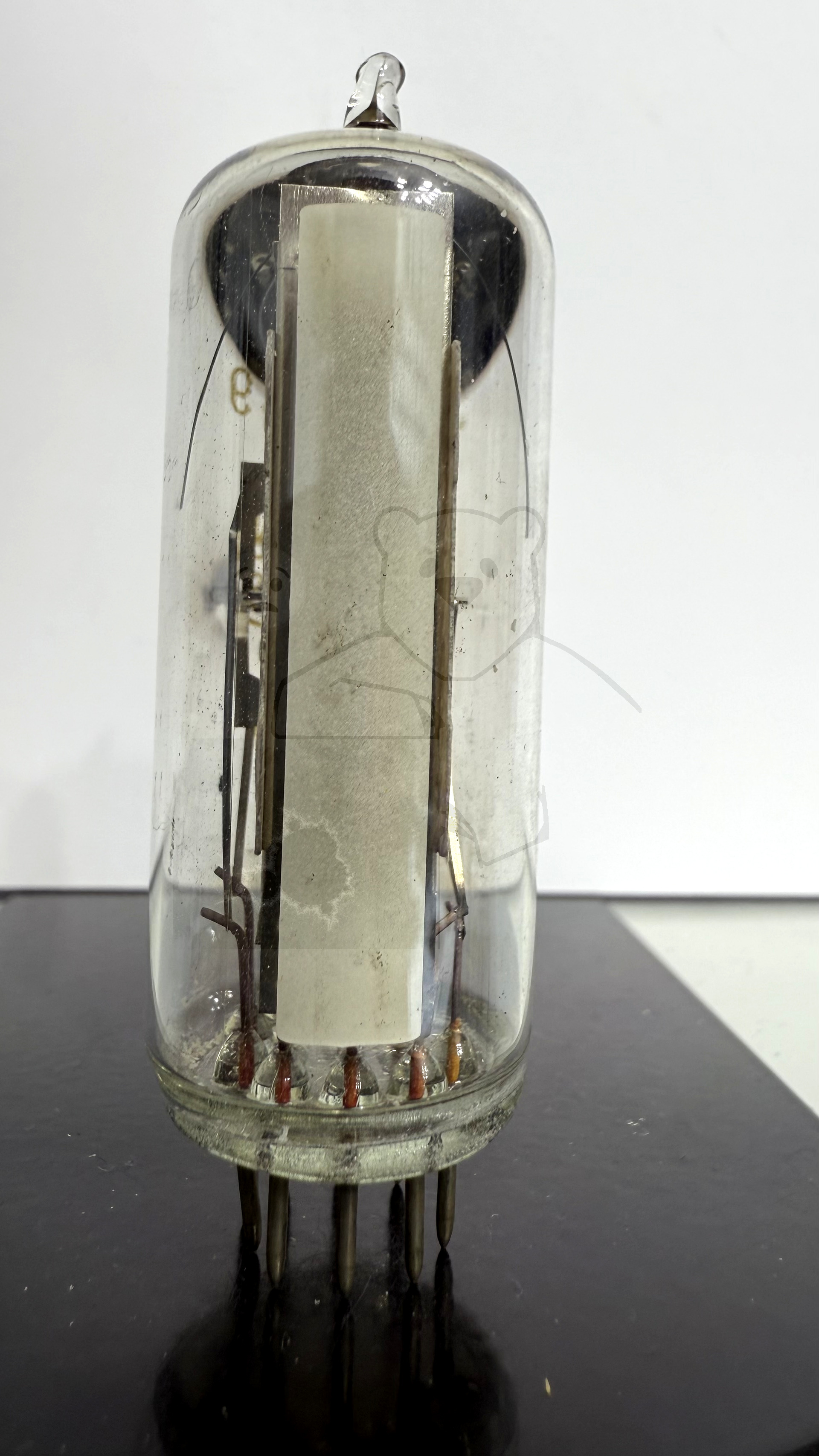 Röhre PM84 #5504 Bild 1