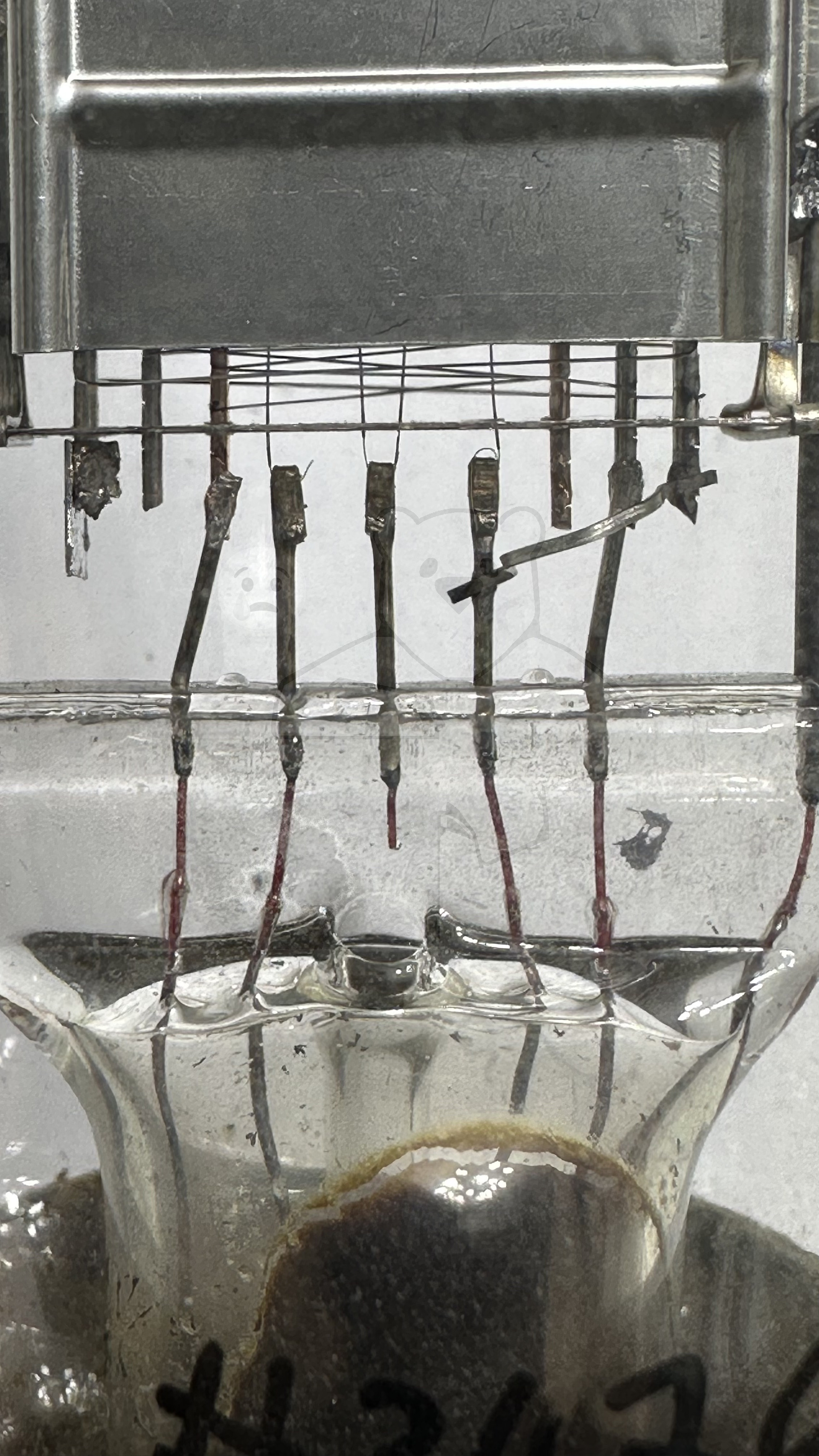 Röhre PP415 #3476 Bild 3