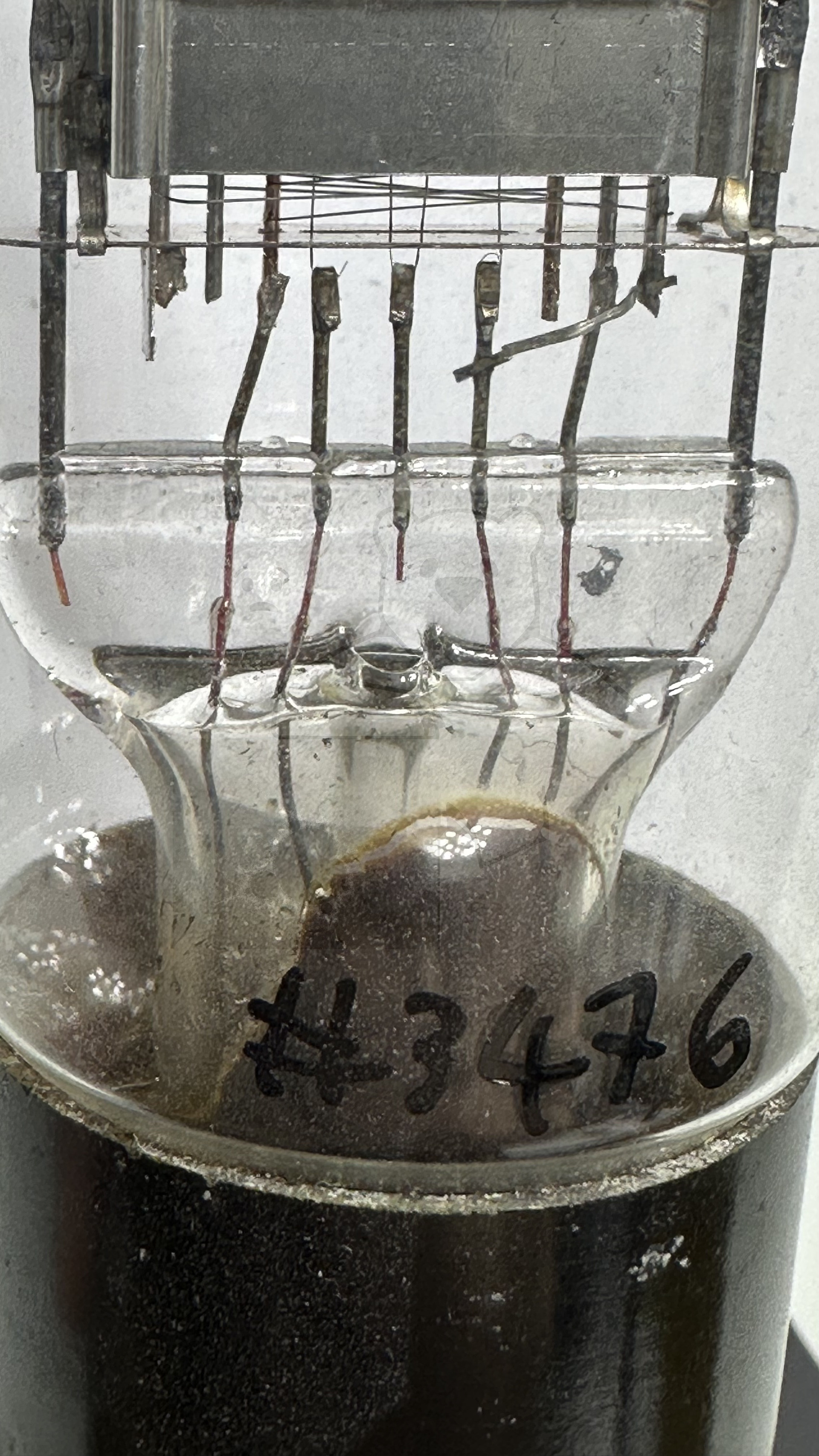 Röhre PP415 #3476 Bild 4