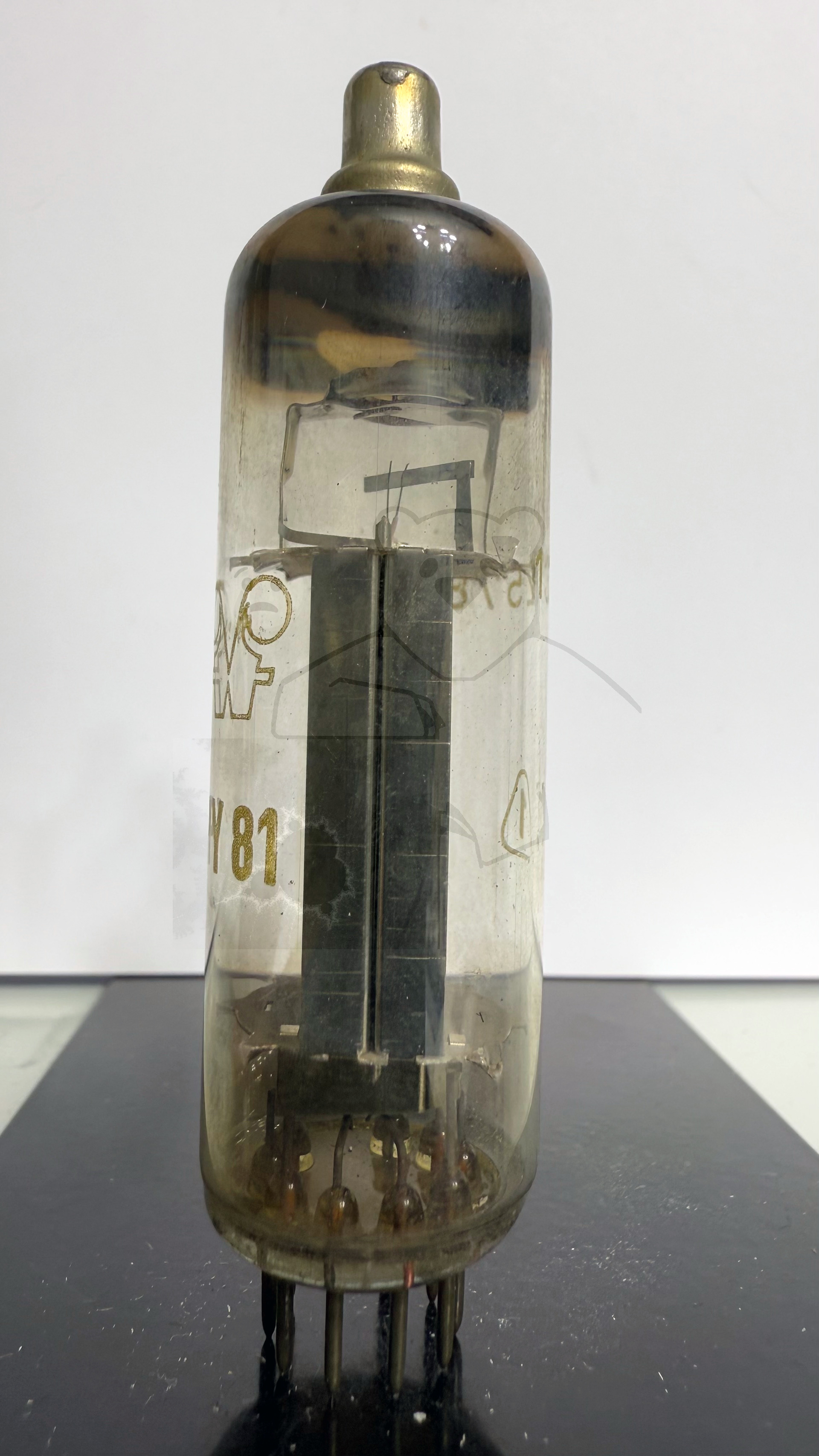 Röhre PY81 #4901 Bild 2