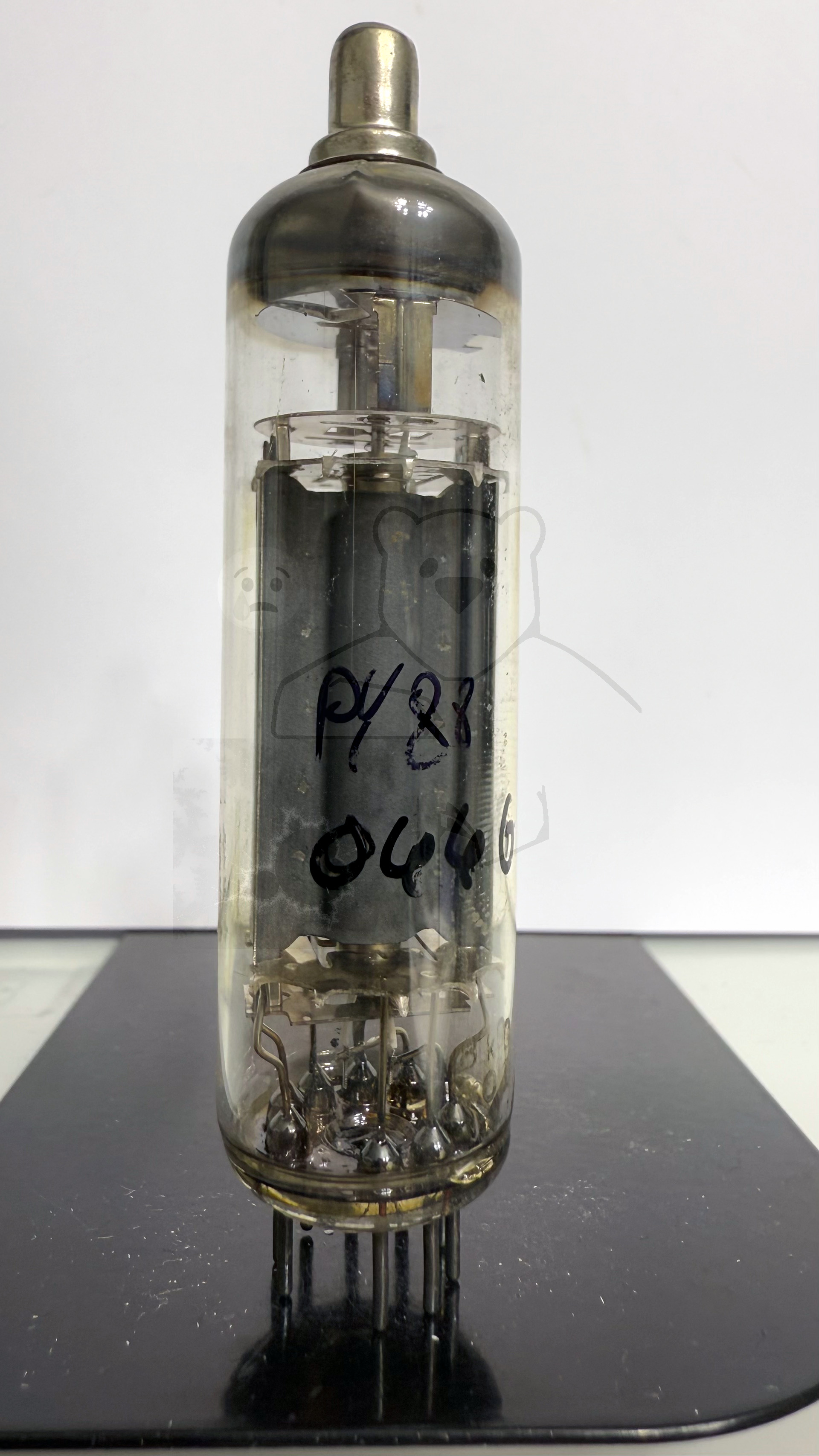 Röhre PY88 #0446 Bild 1
