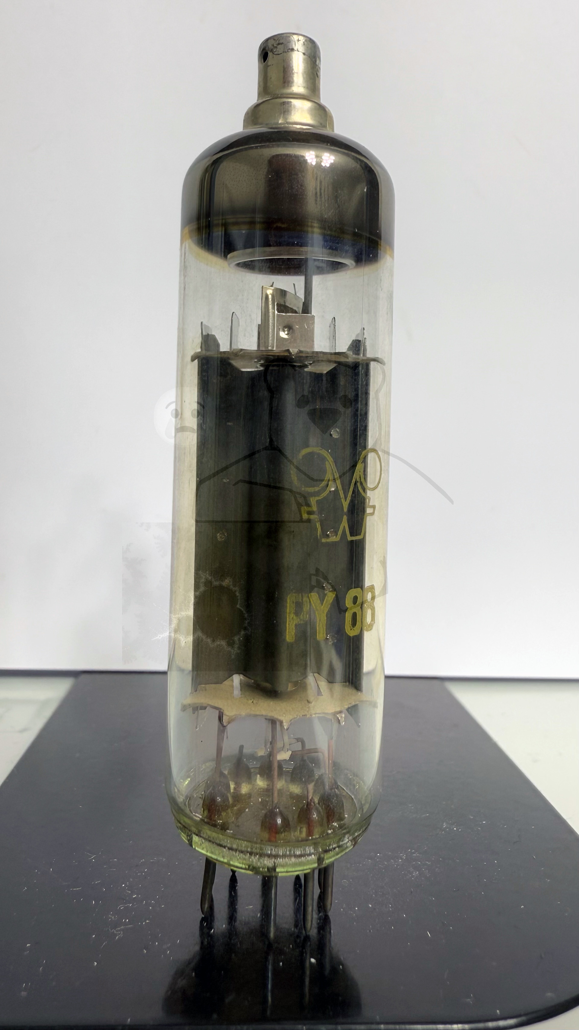 Röhre PY88 #4909 Bild 1