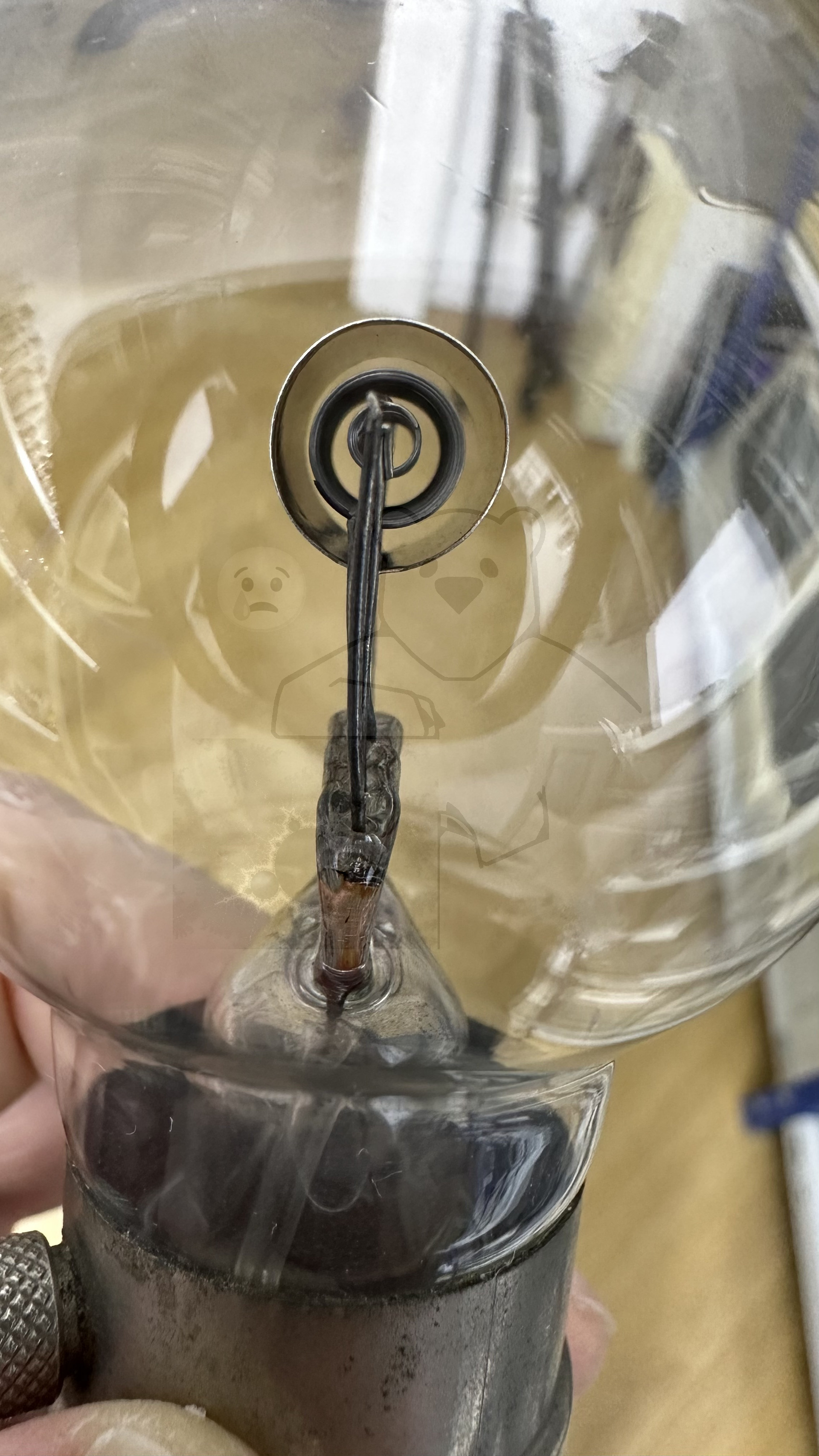 Röhre Philips D vi #7779 Bild 5