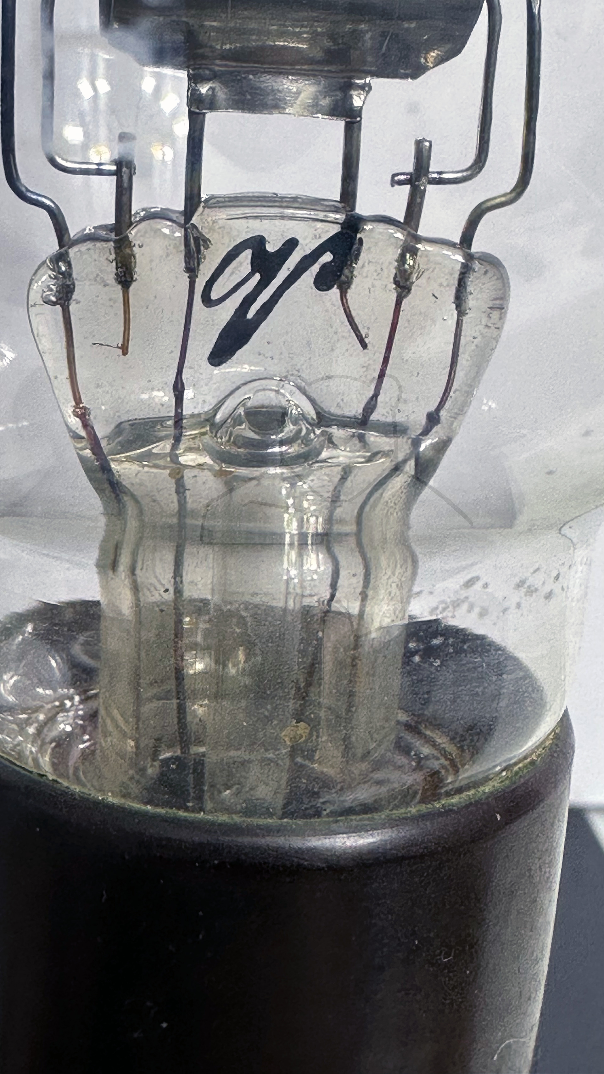 Röhre Philips E #6462 Bild 3