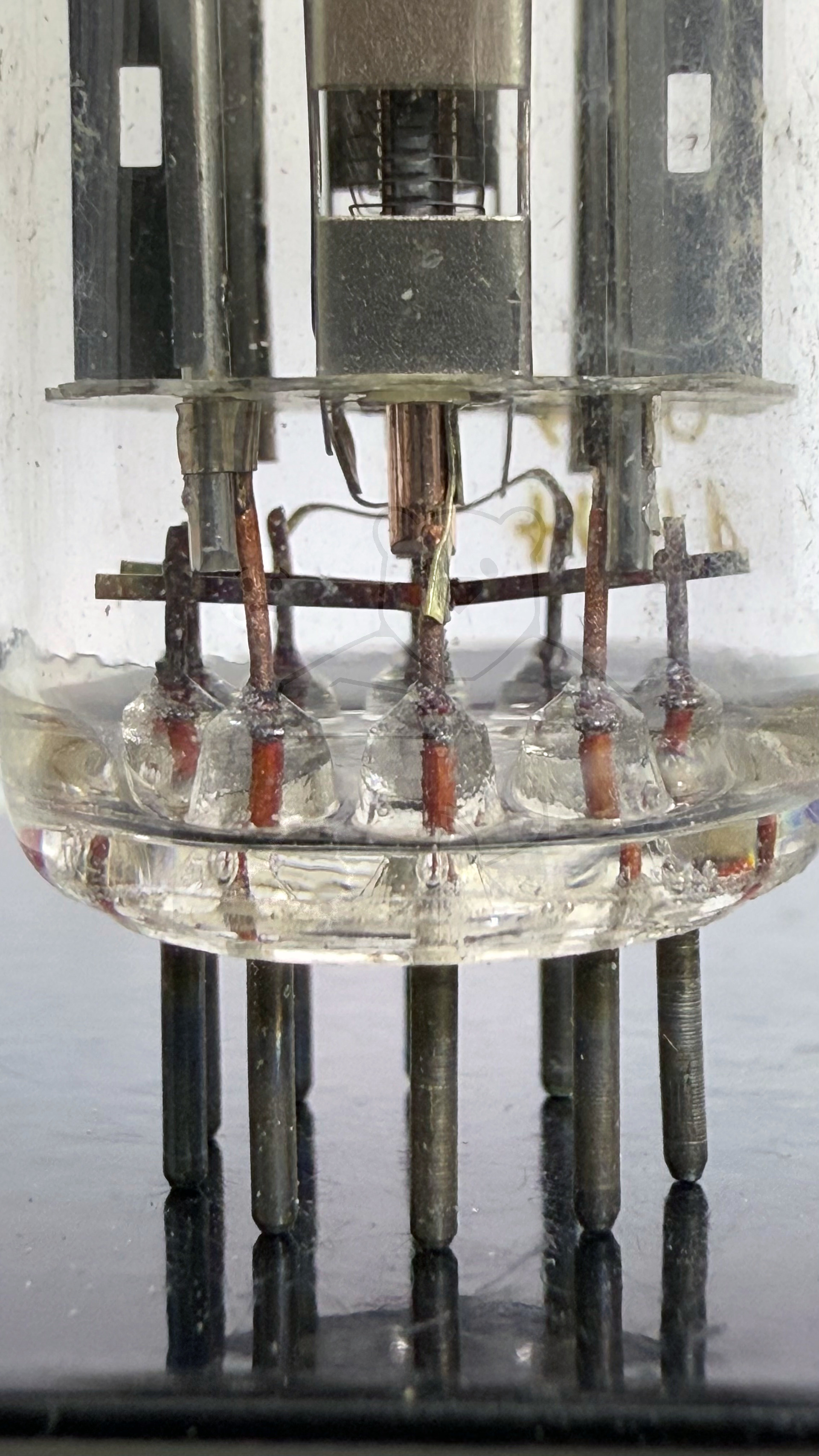 Röhre QQE03-12 #7961 Bild 10