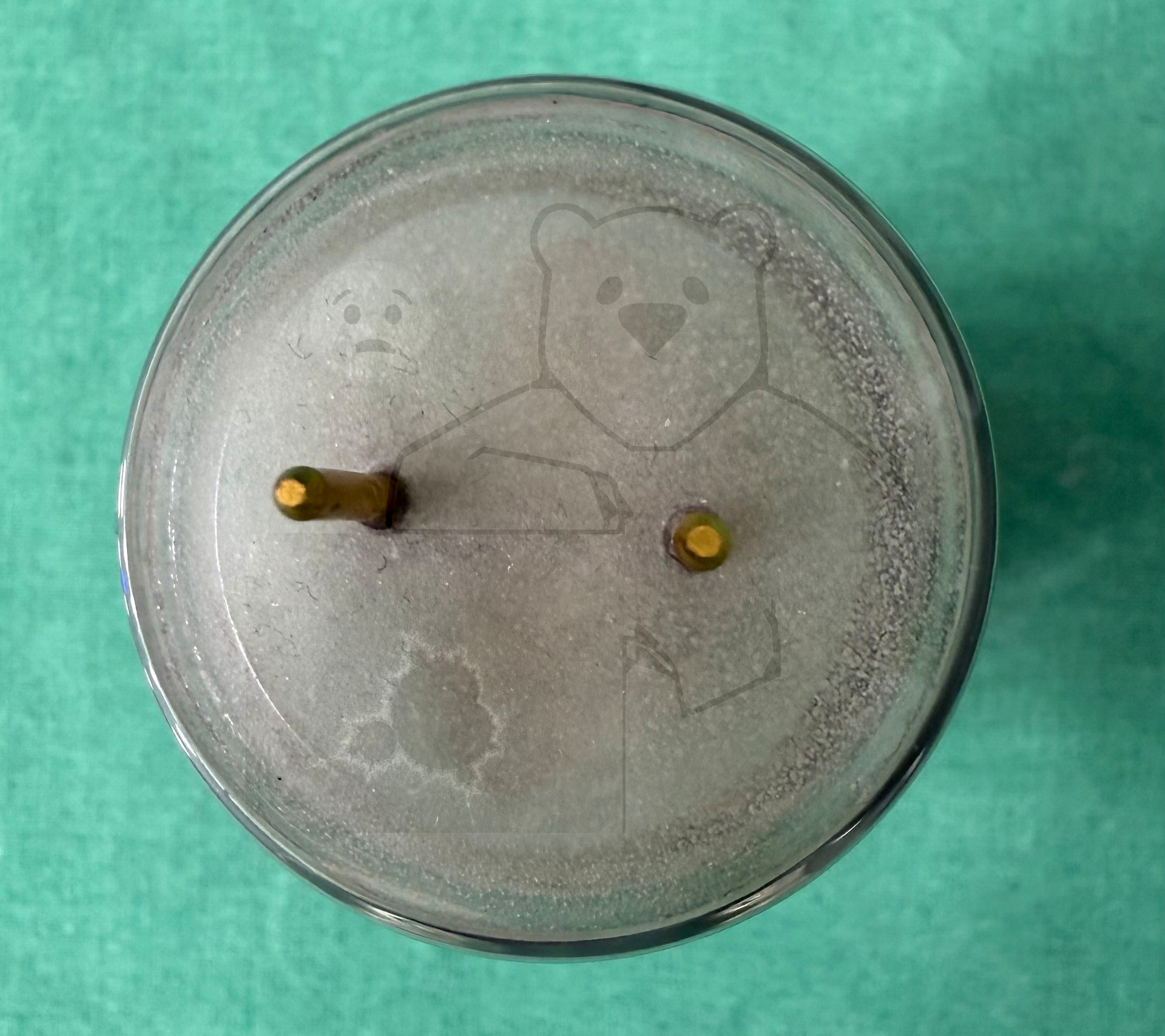 Röhre QQE06-40 #3449 Bild 9