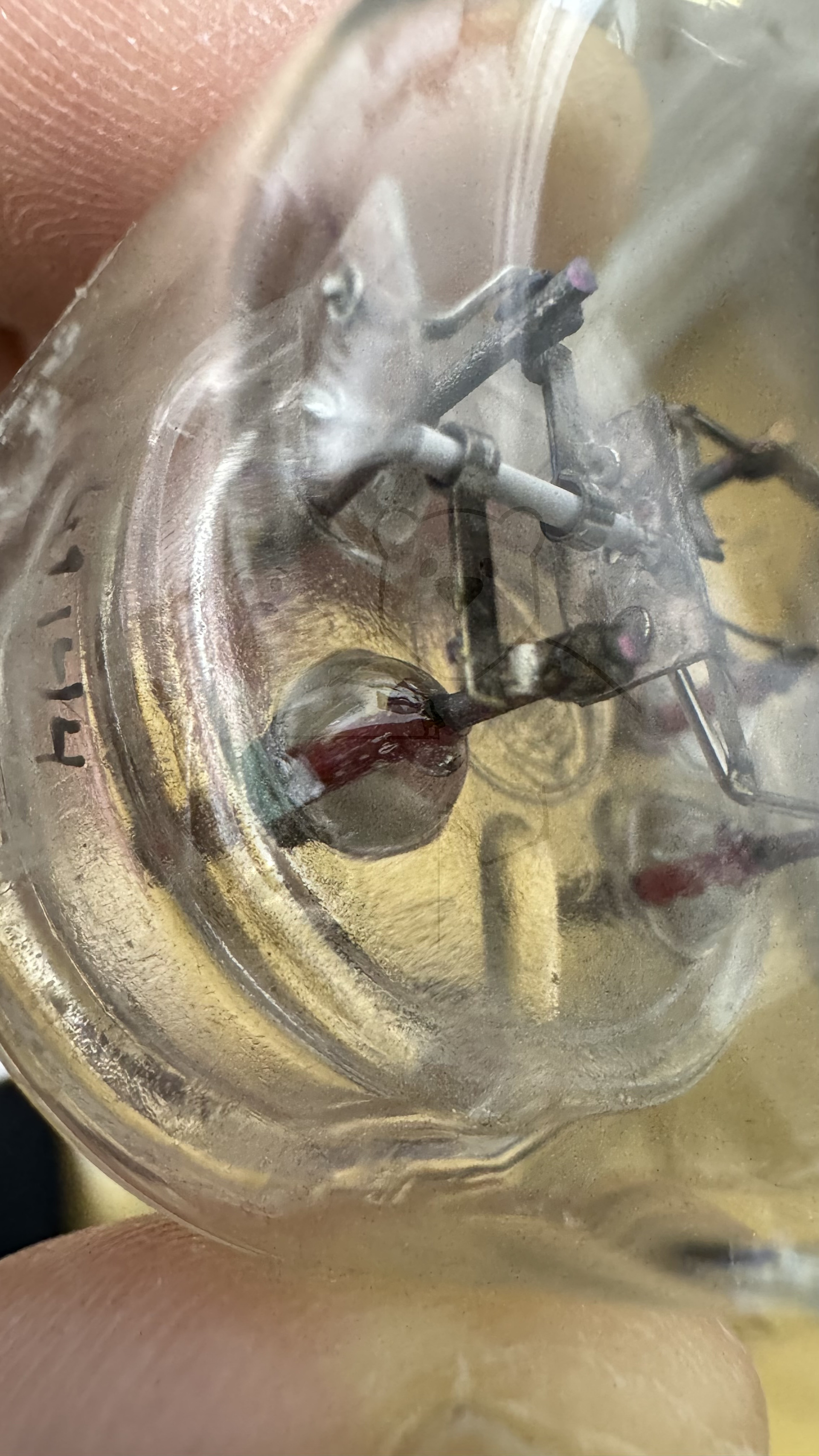 Röhre RD12Ga #8176 Bild 11