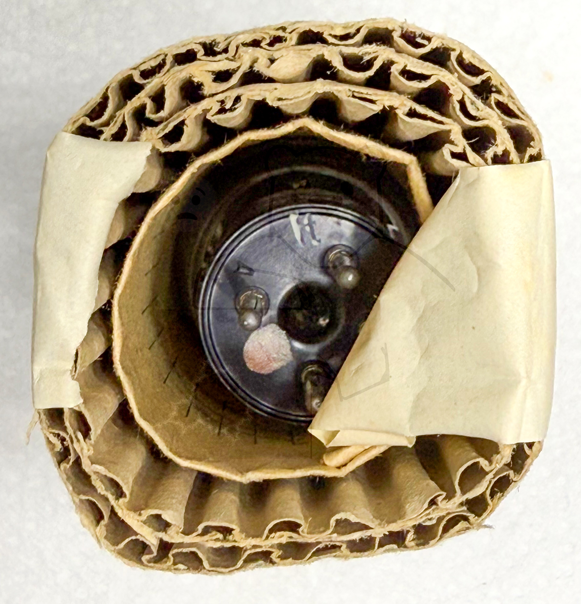 Röhre REN501 #3801 Verpackung Bild 4