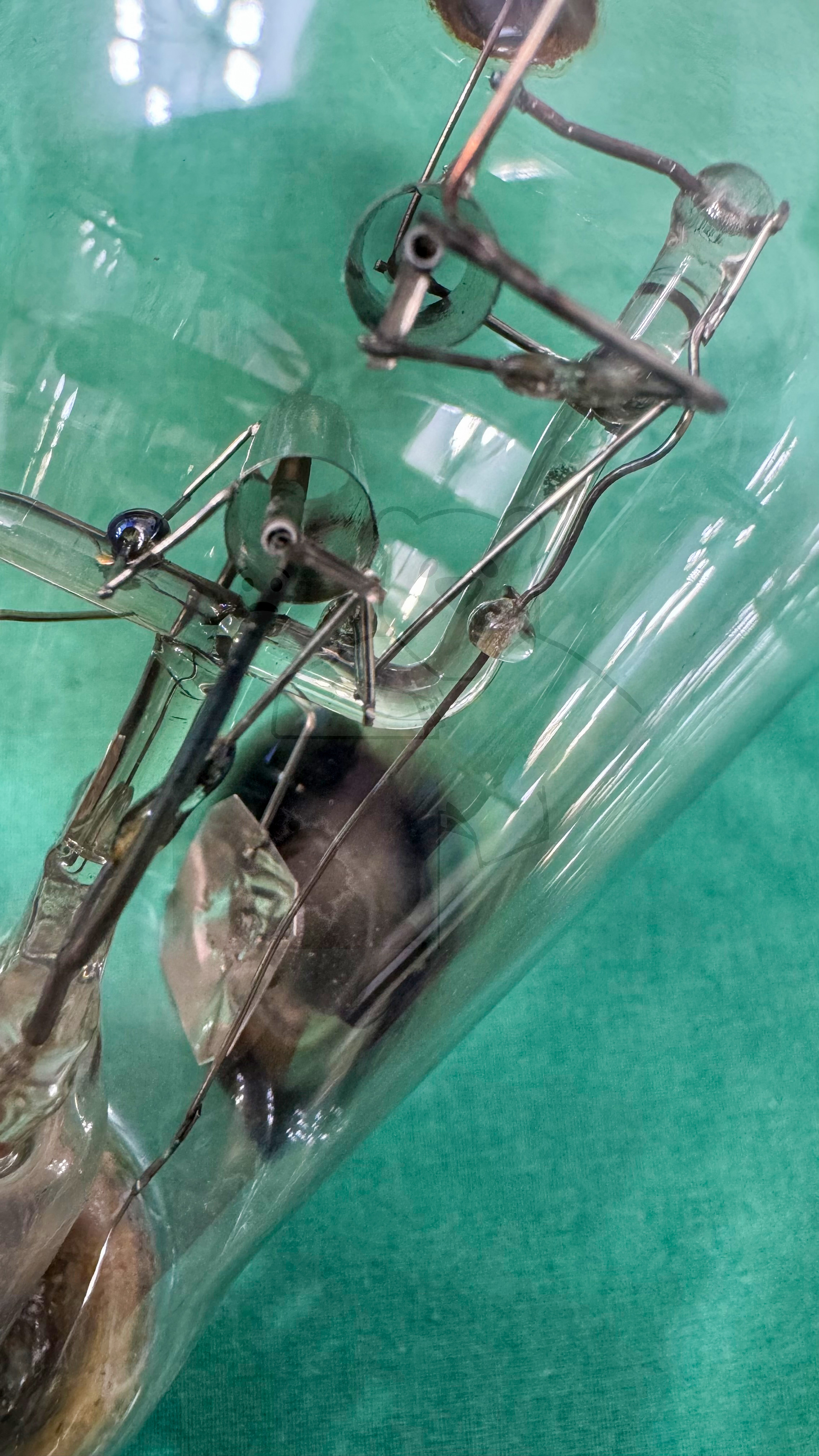 Röhre RFG1 #3816 Prototyp Bild 11