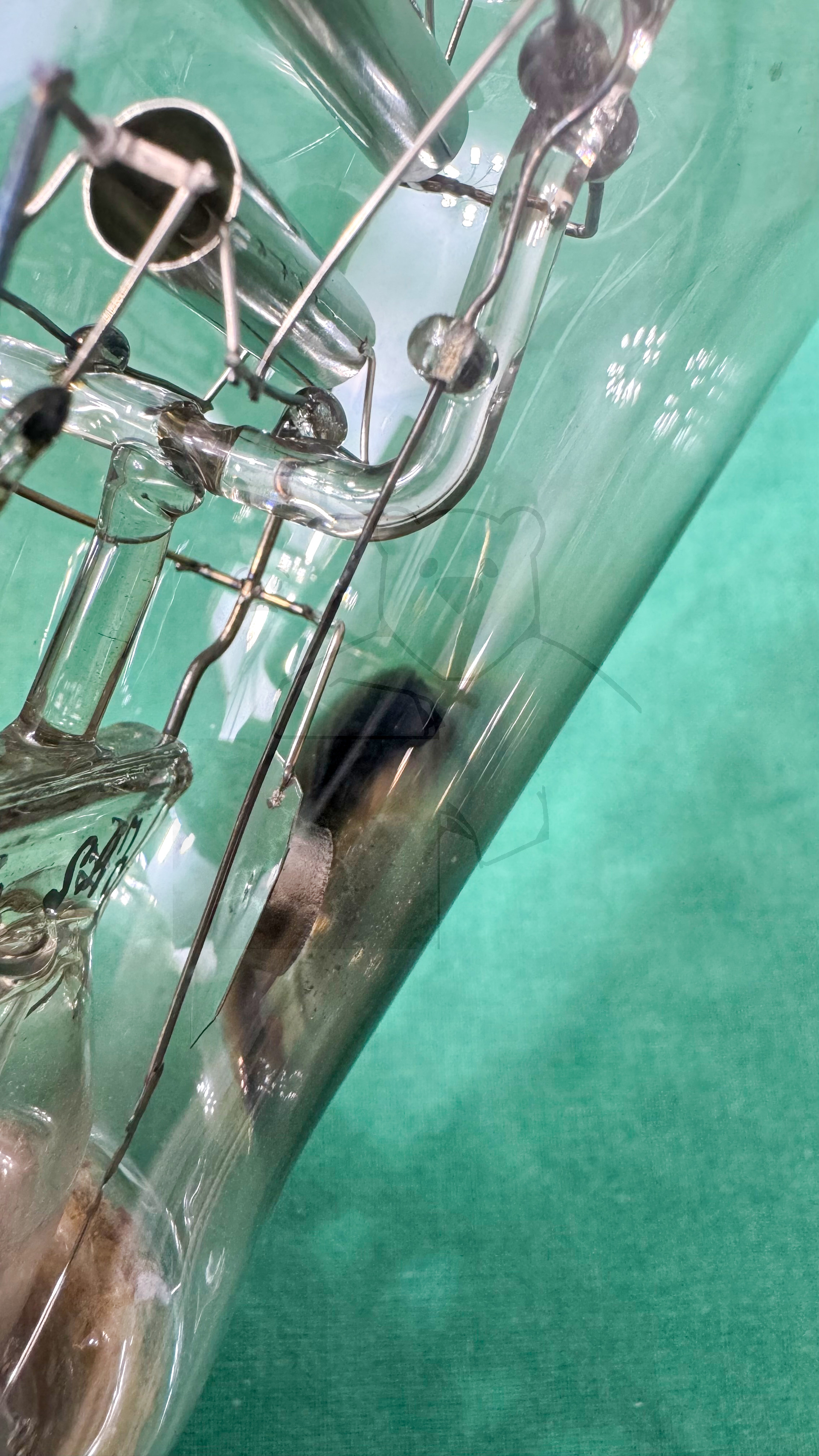 Röhre RFG1 #3816 Prototyp Bild 12