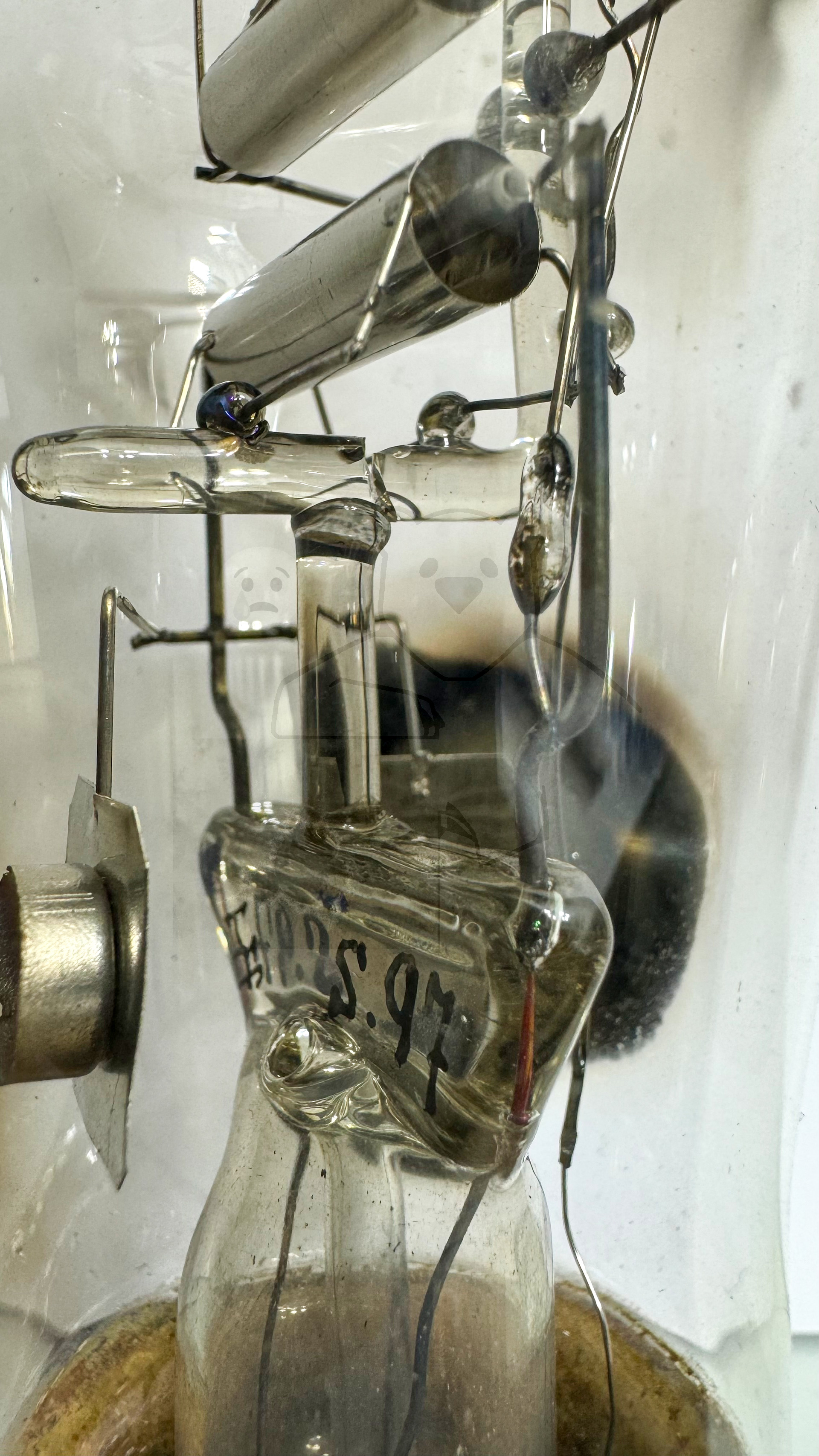 Röhre RFG1 #3816 Prototyp Bild 6