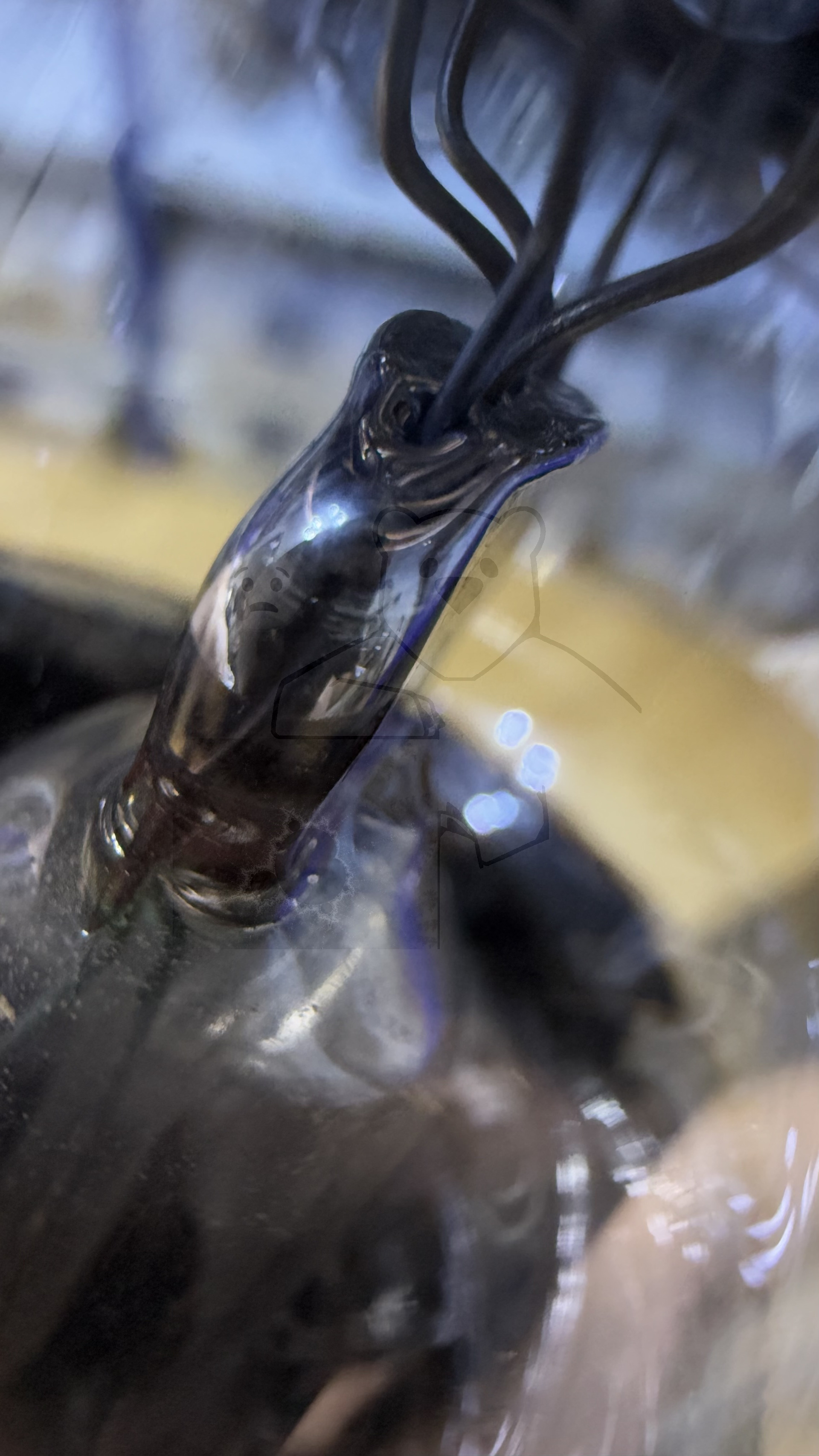 Röhre Radio Micro #7764 Bild 6