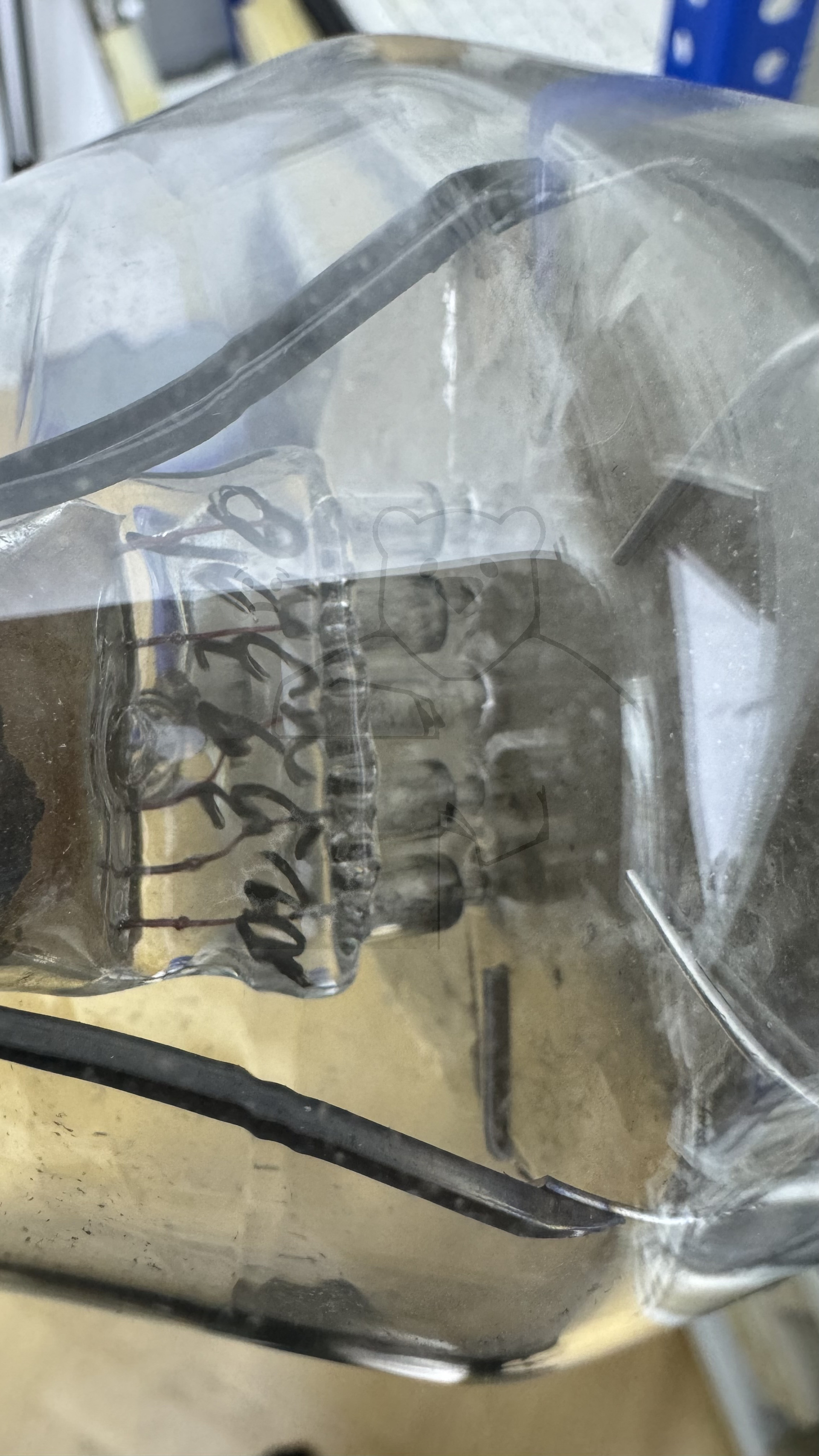 Röhre STV280-80 #0251 Bild 5