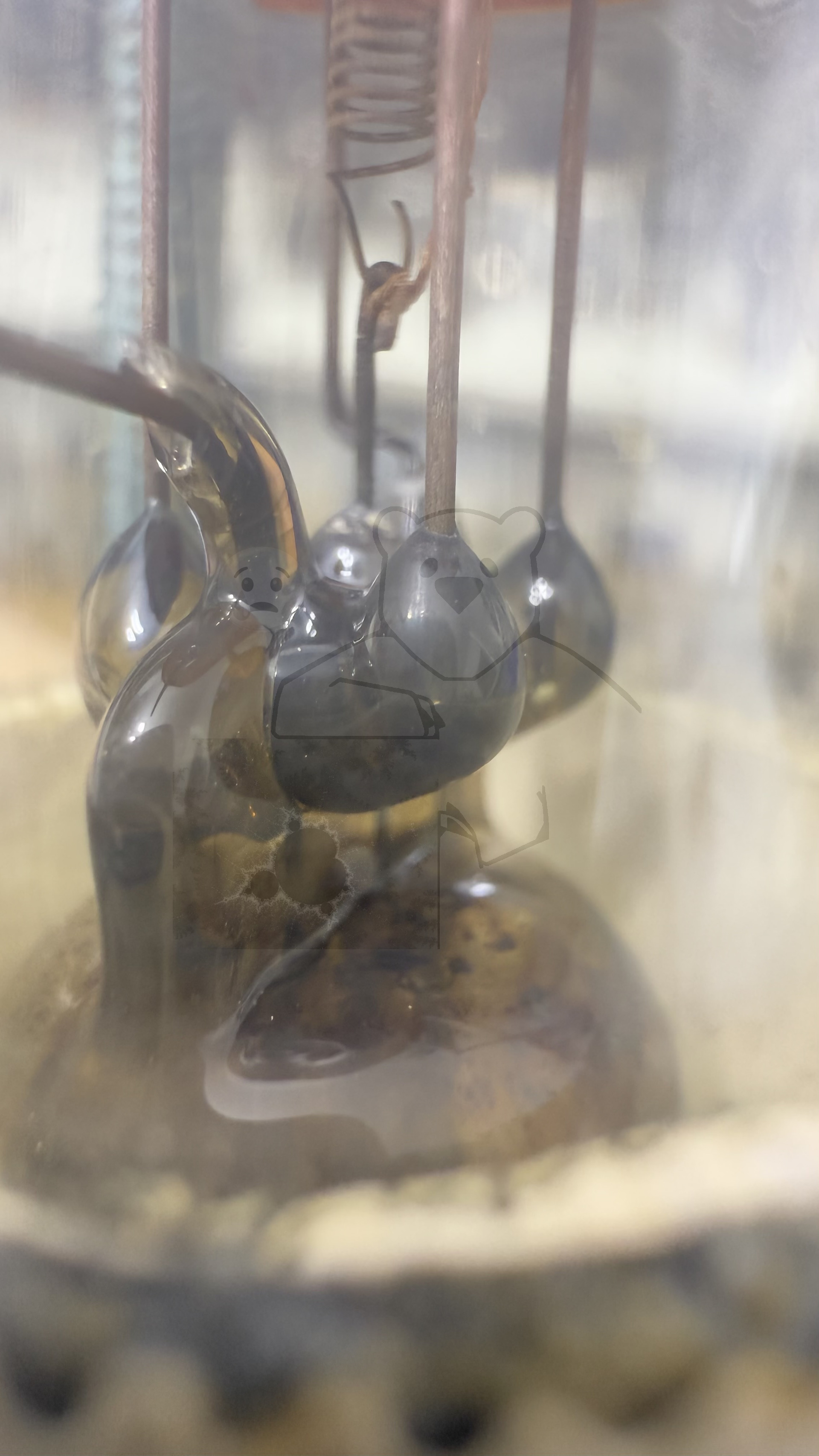 Röhre Schott Typ N #6366 Bild 12