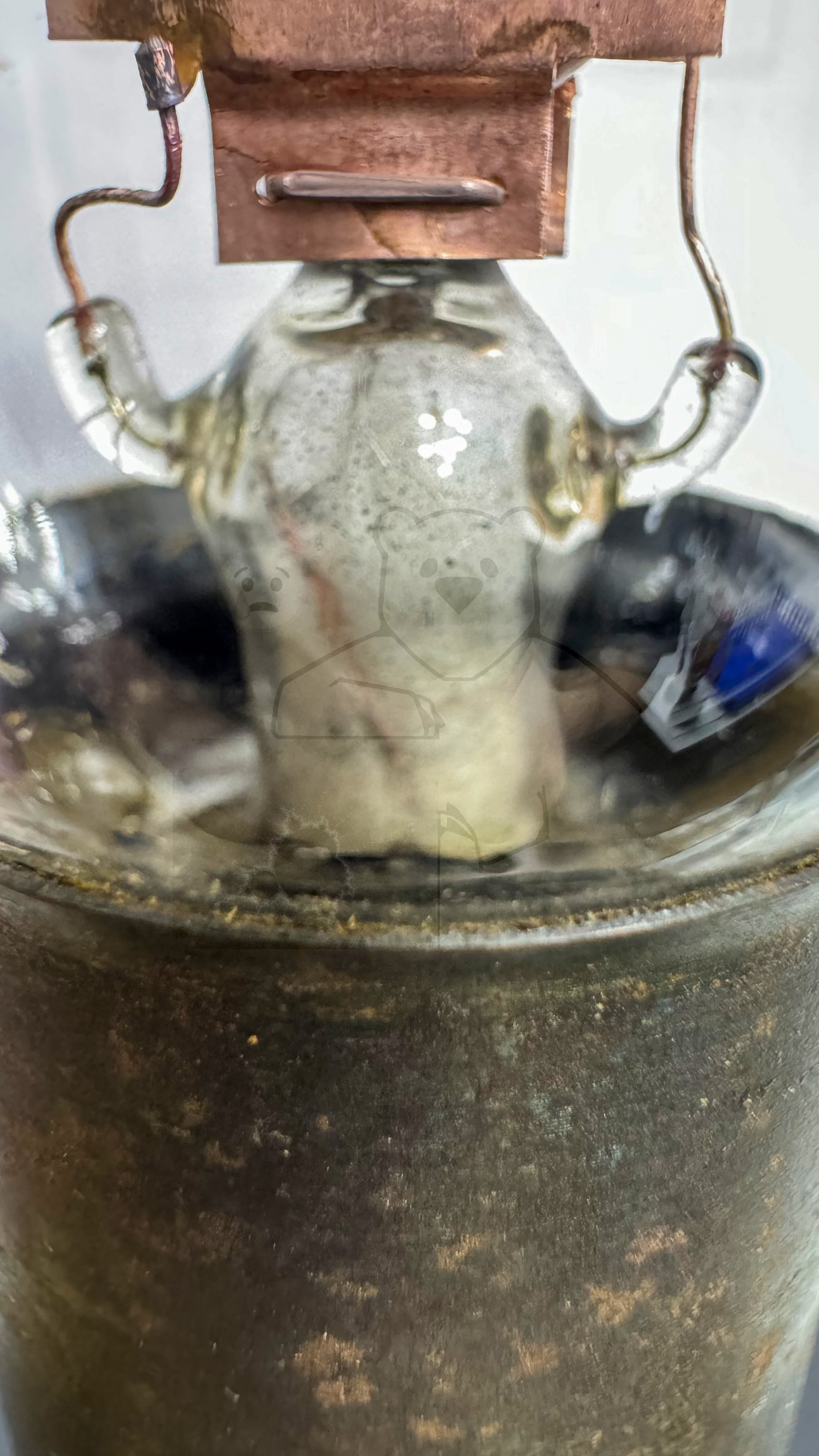 Röhre Seddig 50191 #7562 Bild 12