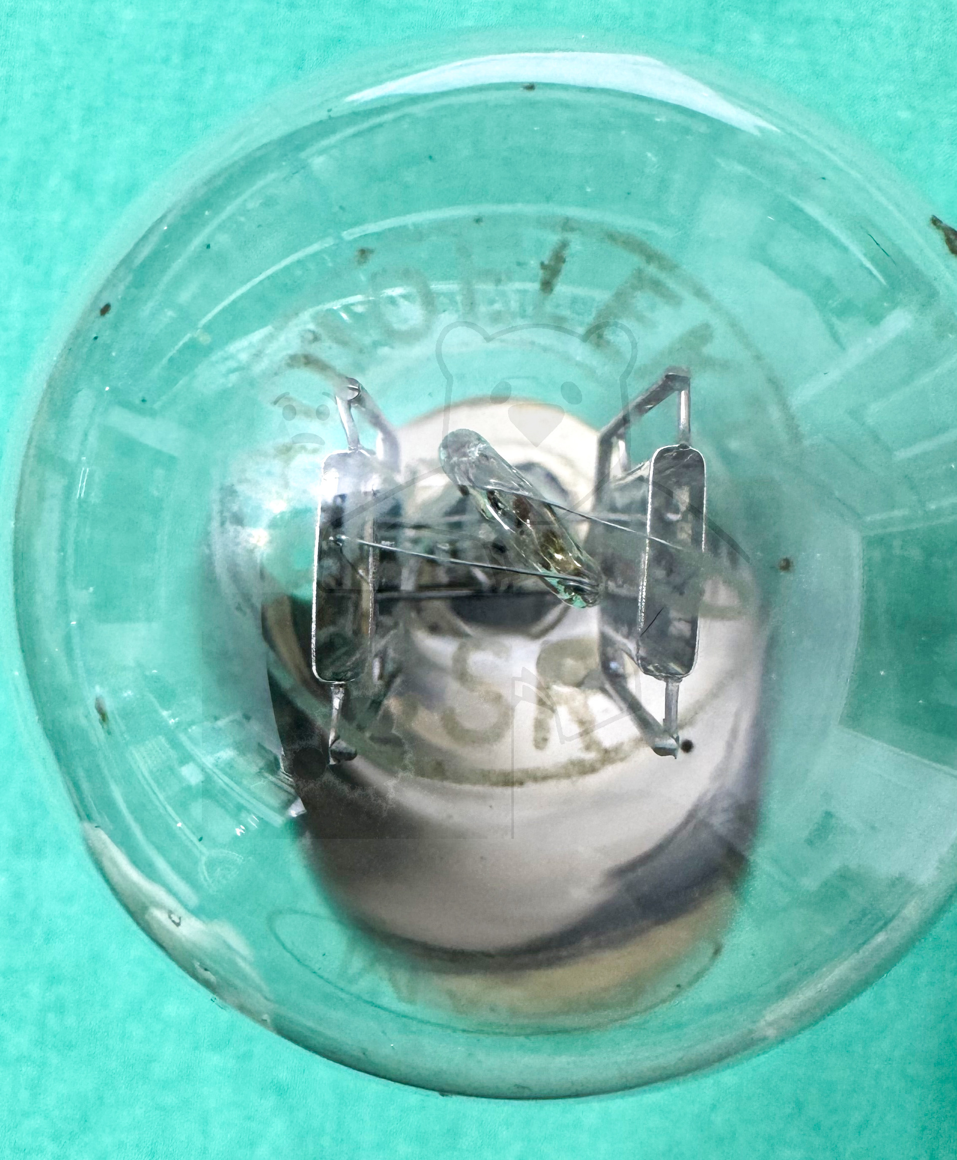 Röhre U1 #6922 Bild 11