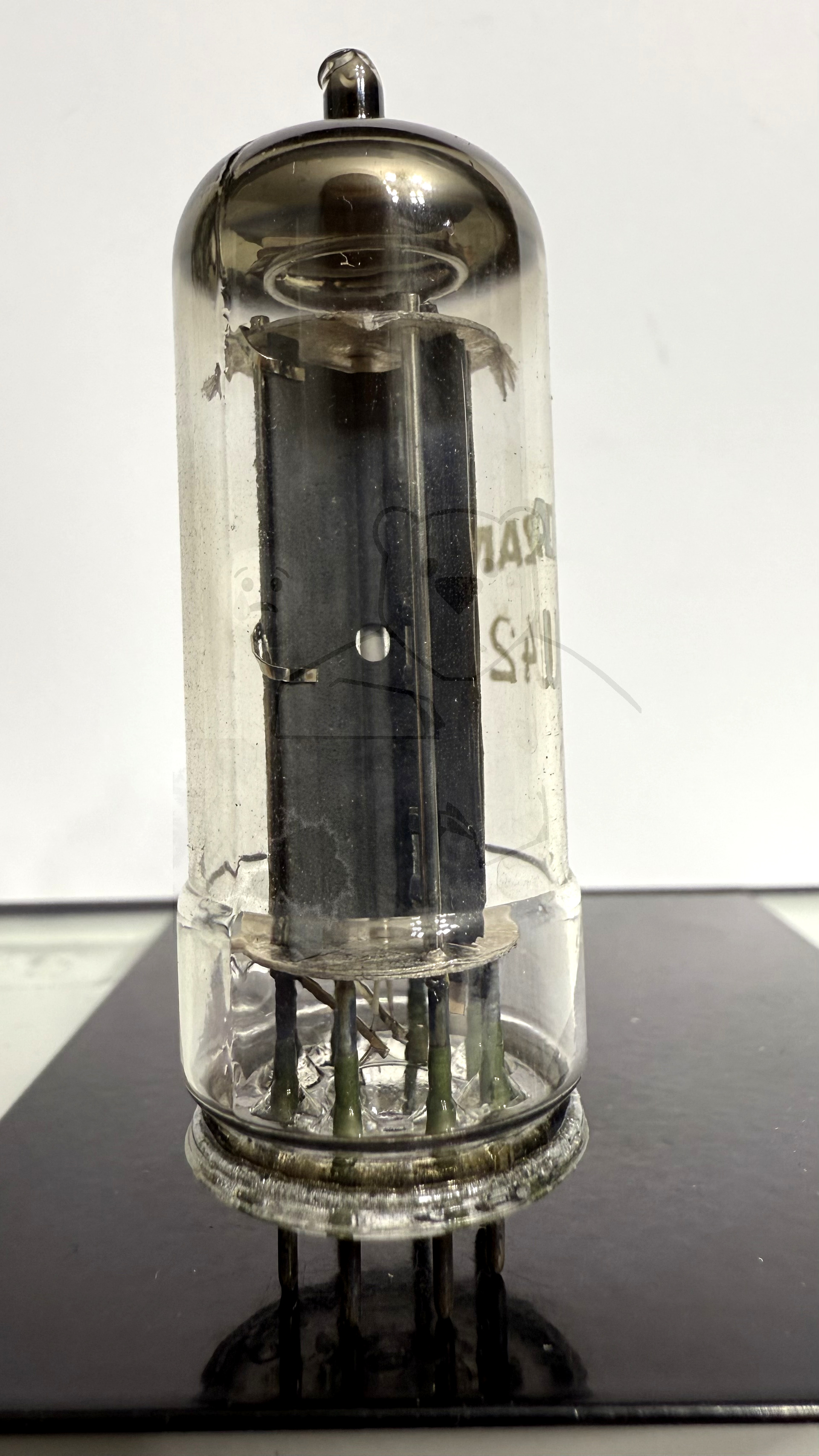 Röhre UY42 #4302 Bild 4