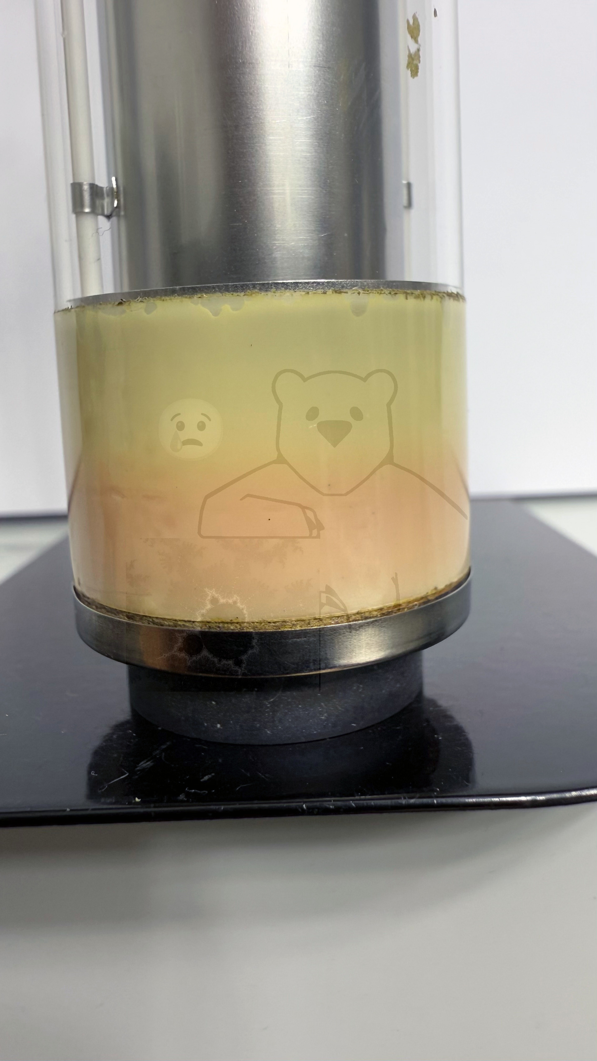 Röhre XQ1020G #3190 Bild 3