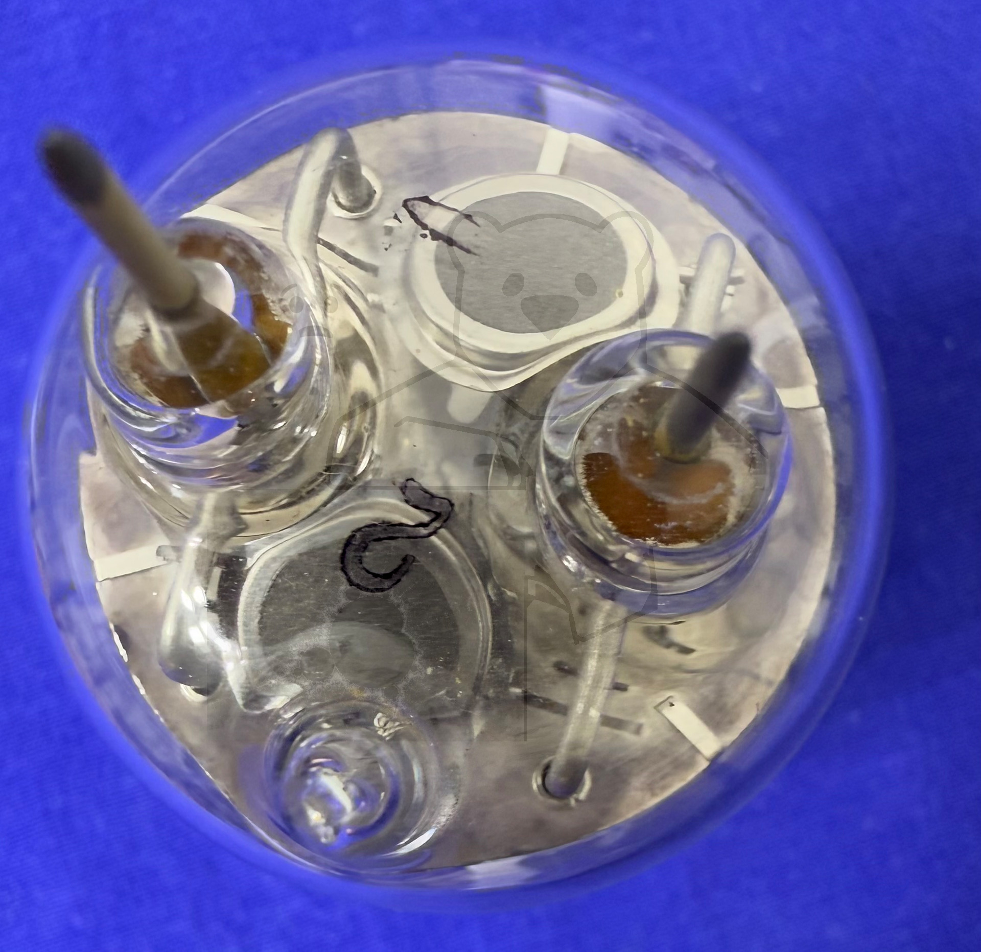 Röhre ГМИ-6 GMI-6 #3306 Bild 14