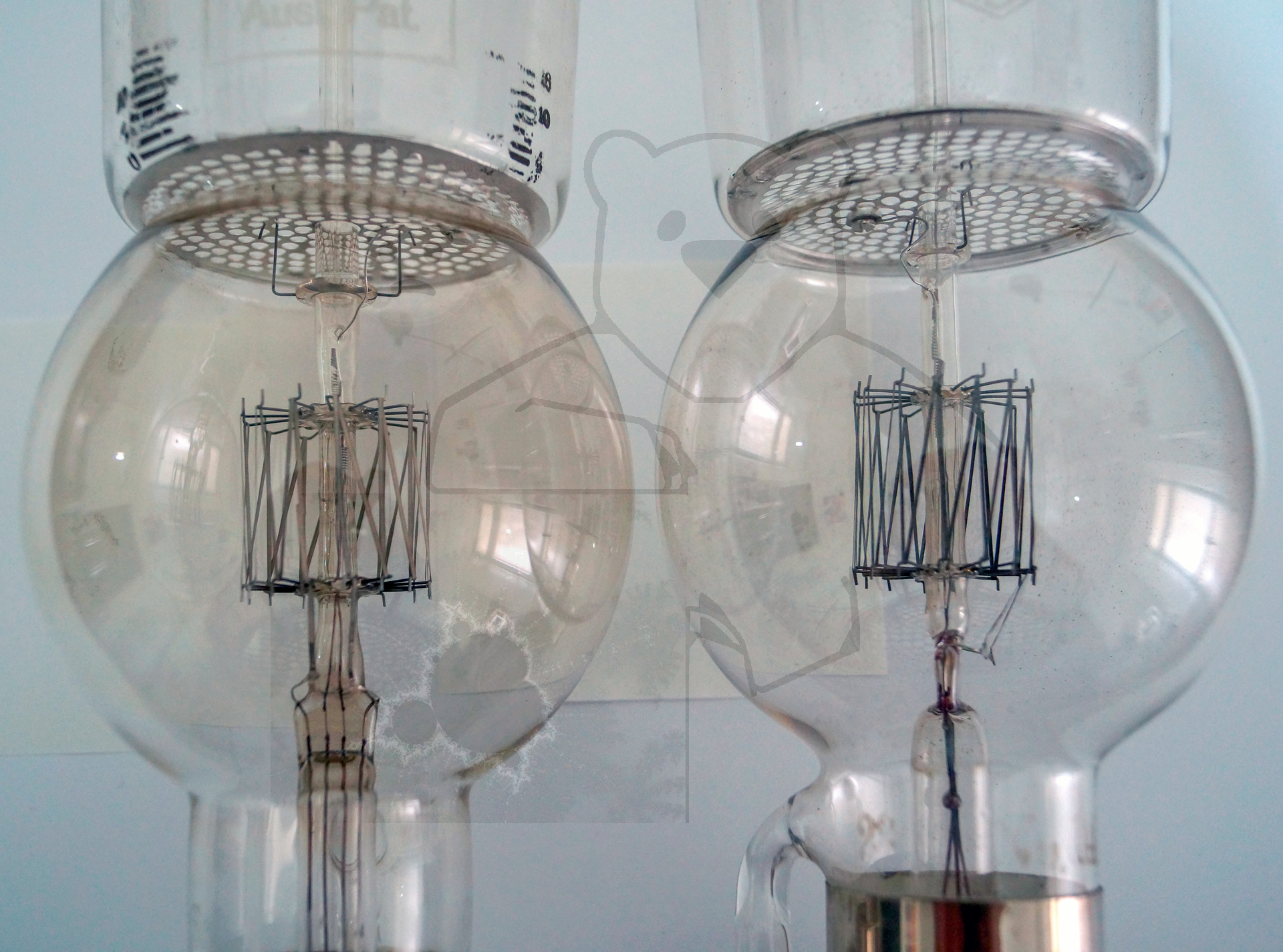 Vergleich zweier Original Liebenröhren Seriennummer 'Ss990' und 'Ss145' - Bild 13